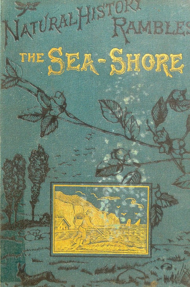 No text description is available for this image