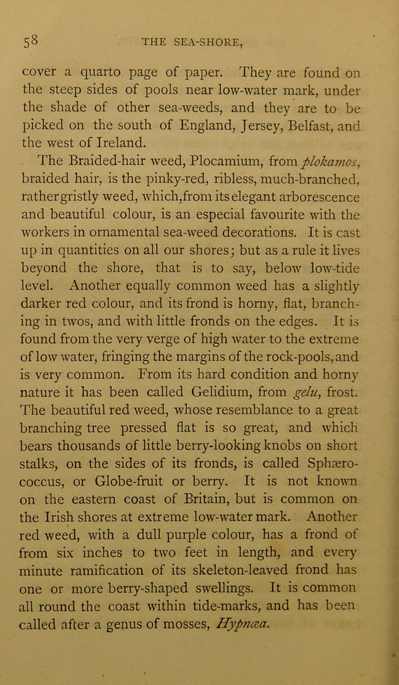 cover a quarto page of paper. They are found on the steep sides of pools near low-water mark, under the shade of other sea-weeds, and they are to be picked on the south of England, Jersey, Belfast, and the west of Ireland. The Braided-hair weed, Plocamium, from plokamos, braided hair, is the pinky-red, ribless, much-branched, rather gristly weed, which,from its elegant arborescence and beautiful colour, is an especial favourite with the workers in ornamental sea-weed decorations. It is cast up in quantities on all our shores; but as a rule it lives beyond the shore, that is to say, below low-tide level. Another equally common weed has a slightly darker red colour, and its frond is horny, flat, branch- ing in twos, and with little fronds on the edges. It is found from the very verge of high water to the extreme of low water, fringing the margins of the rock-pools, and is very common. From its hard condition and horny nature it has been called Gelidium, from gelu, frost. The beautiful red weed, whose resemblance to a great branching tree pressed flat is so great, and which bears thousands of little berry-looking knobs on short stalks, on the sides of its fronds, is called Sphasro- coccus, or Globe-fruit or berry. It is not known on the eastern coast of Britain, but is common on the Irish shores at extreme low-water mark. Another red weed, with a dull purple colour, has a frond of from six inches to two feet in length, and every minute ramification of its skeleton-leaved frond has one or more berry-shaped swellings. It is common all round the coast within tide-marks, and has been called after a genus of mosses, Hypncea.