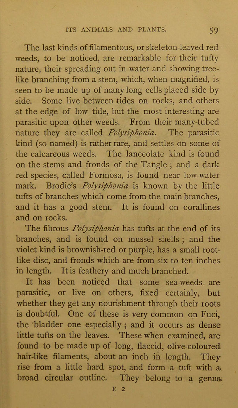 The last kinds of filamentous, or skeleton-leaved red weeds, to be noticed, are remarkable for their tufty nature, their spreading out in water and showing tree- like branching from a stem, which, when magnified, is seen to be made up of many long cells placed side by side. Some live between tides on rocks, and others at the edge of low tide, but the most interesting are parasitic upon other weeds. From their many-tubed nature they are called Polysiphonia. The parasitic kind (so named) is rather rare, and settles on some of the calcareous weeds. The lanceolate kind is found on the stems and fronds of the Tangle ; and a dark red species, called Formosa, is found near low-water mark. Brodie’s Polysiphonia is known by the little tufts of branches which come from the main branches, and it has a good stem. It is found on corallines and on rocks. The fibrous Polysiphonia has tufts at the end of its branches, and is found on mussel shells ; and the violet kind is brownish-red or purple, has a small root- like disc, and fronds which are from six to ten inches in length. It is feathery and much branched. It has been noticed that some sea-weeds are parasitic, or live on others, fixed certainly, but whether they get any nourishment through their roots is doubtful. One of these is very common on Fuci, the bladder one especially; and it occurs as dense little tufts on the leaves. These when examined, are found to be made up of long, flaccid, olive-coloured hair-like filaments, about an inch in length. They rise from a little hard spot, and form a tuft with a. broad circular outline. They belong to a genua E 2