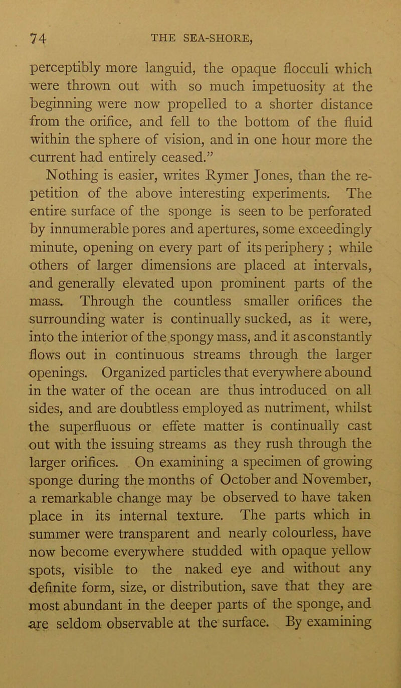 perceptibly more languid, the opaque flocculi which were thrown out with so much impetuosity at the beginning were now propelled to a shorter distance from the orifice, and fell to the bottom of the fluid within the sphere of vision, and in one hour more the current had entirely ceased.” Nothing is easier, writes Rymer Jones, than the re- petition of the above interesting experiments. The entire surface of the sponge is seen to be perforated by innumerable pores and apertures, some exceedingly minute, opening on every part of its periphery; while others of larger dimensions are placed at intervals, and generally elevated upon prominent parts of the mass. Through the countless smaller orifices the surrounding water is continually sucked, as it were, into the interior of the spongy mass, and it as constantly flows out in continuous streams through the larger openings. Organized particles that everywhere abound in the water of the ocean are thus introduced on all sides, and are doubtless employed as nutriment, whilst the superfluous or effete matter is continually cast out with the issuing streams as they rush through the larger orifices. On examining a specimen of growing sponge during the months of October and November, a remarkable change may be observed to have taken place in its internal texture. The parts which in summer were transparent and nearly colourless, have now become everywhere studded with opaque yellow spots, visible to the naked eye and without any definite form, size, or distribution, save that they are most abundant in the deeper parts of the sponge, and are seldom observable at the surface. By examining