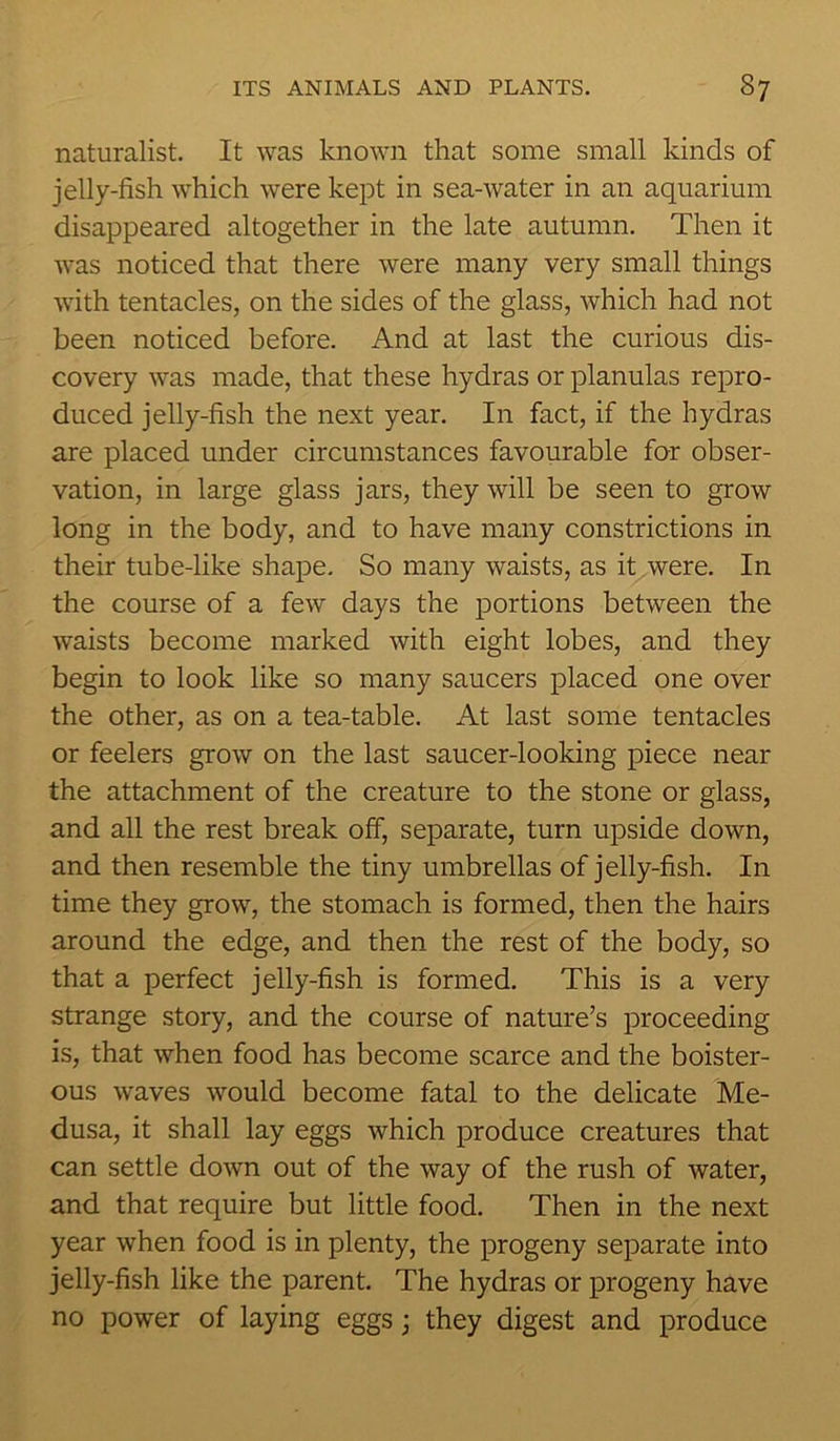 naturalist. It was known that some small kinds of jelly-fish which were kept in sea-water in an aquarium disappeared altogether in the late autumn. Then it was noticed that there were many very small things with tentacles, on the sides of the glass, which had not been noticed before. And at last the curious dis- covery was made, that these hydras or planulas repro- duced jelly-fish the next year. In fact, if the hydras are placed under circumstances favourable for obser- vation, in large glass jars, they will be seen to grow long in the body, and to have many constrictions in their tube-like shape. So many waists, as it were. In the course of a few days the portions between the waists become marked with eight lobes, and they begin to look like so many saucers placed one over the other, as on a tea-table. At last some tentacles or feelers grow on the last saucer-looking piece near the attachment of the creature to the stone or glass, and all the rest break off, separate, turn upside down, and then resemble the tiny umbrellas of jelly-fish. In time they grow, the stomach is formed, then the hairs around the edge, and then the rest of the body, so that a perfect jelly-fish is formed. This is a very strange story, and the course of nature’s proceeding is, that when food has become scarce and the boister- ous waves would become fatal to the delicate Me- dusa, it shall lay eggs which produce creatures that can settle down out of the way of the rush of water, and that require but little food. Then in the next year when food is in plenty, the progeny separate into jelly-fish like the parent. The hydras or progeny have no power of laying eggs; they digest and produce