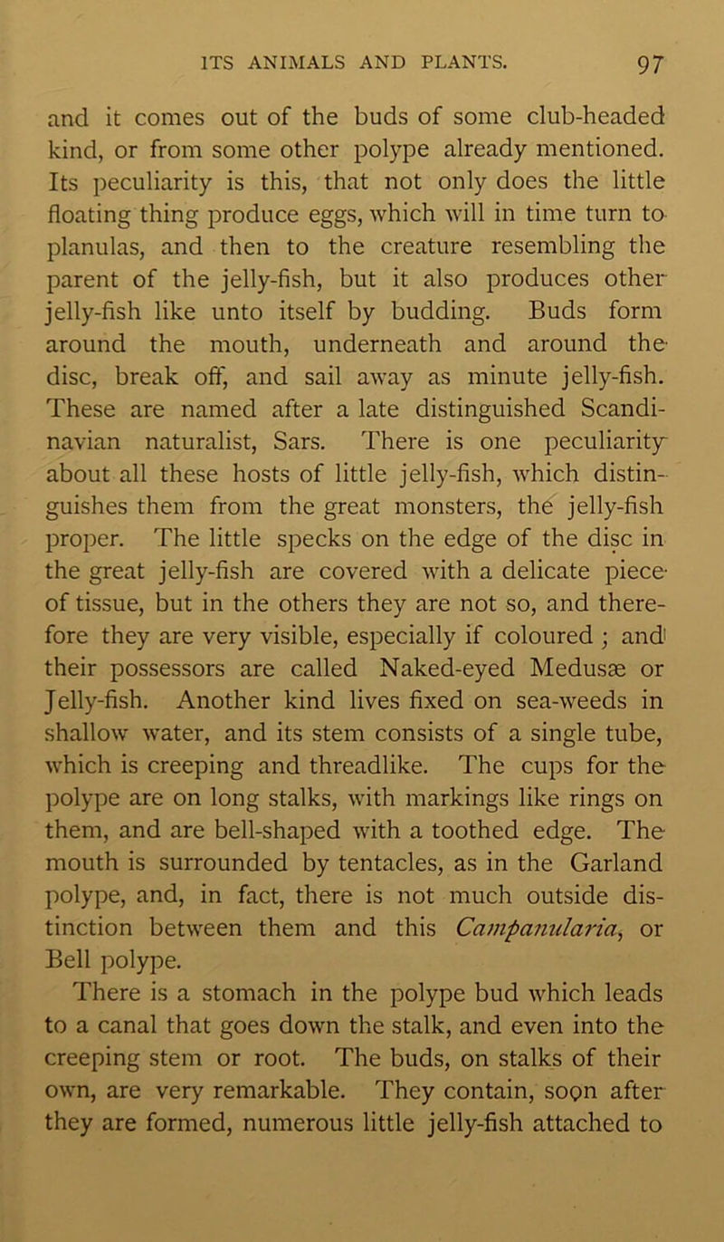 and it comes out of the buds of some club-headed kind, or from some other polype already mentioned. Its peculiarity is this, that not only does the little floating thing produce eggs, which will in time turn to planulas, and then to the creature resembling the parent of the jelly-fish, but it also produces other jelly-fish like unto itself by budding. Buds form around the mouth, underneath and around the’ disc, break off, and sail away as minute jelly-fish. These are named after a late distinguished Scandi- navian naturalist, Sars. There is one peculiarity about all these hosts of little jelly-fish, which distin- guishes them from the great monsters, the jelly-fish proper. The little specks on the edge of the disc in the great jelly-fish are covered with a delicate piece of tissue, but in the others they are not so, and there- fore they are very visible, especially if coloured ; and1 their possessors are called Naked-eyed Medusse or Jelly-fish. Another kind lives fixed on sea-weeds in shallow water, and its stem consists of a single tube, which is creeping and threadlike. The cups for the polype are on long stalks, with markings like rings on them, and are bell-shaped with a toothed edge. The mouth is surrounded by tentacles, as in the Garland polype, and, in fact, there is not much outside dis- tinction between them and this Campanularia, or Bell polype. There is a stomach in the polype bud which leads to a canal that goes down the stalk, and even into the creeping stem or root. The buds, on stalks of their own, are very remarkable. They contain, soon after they are formed, numerous little jelly-fish attached to
