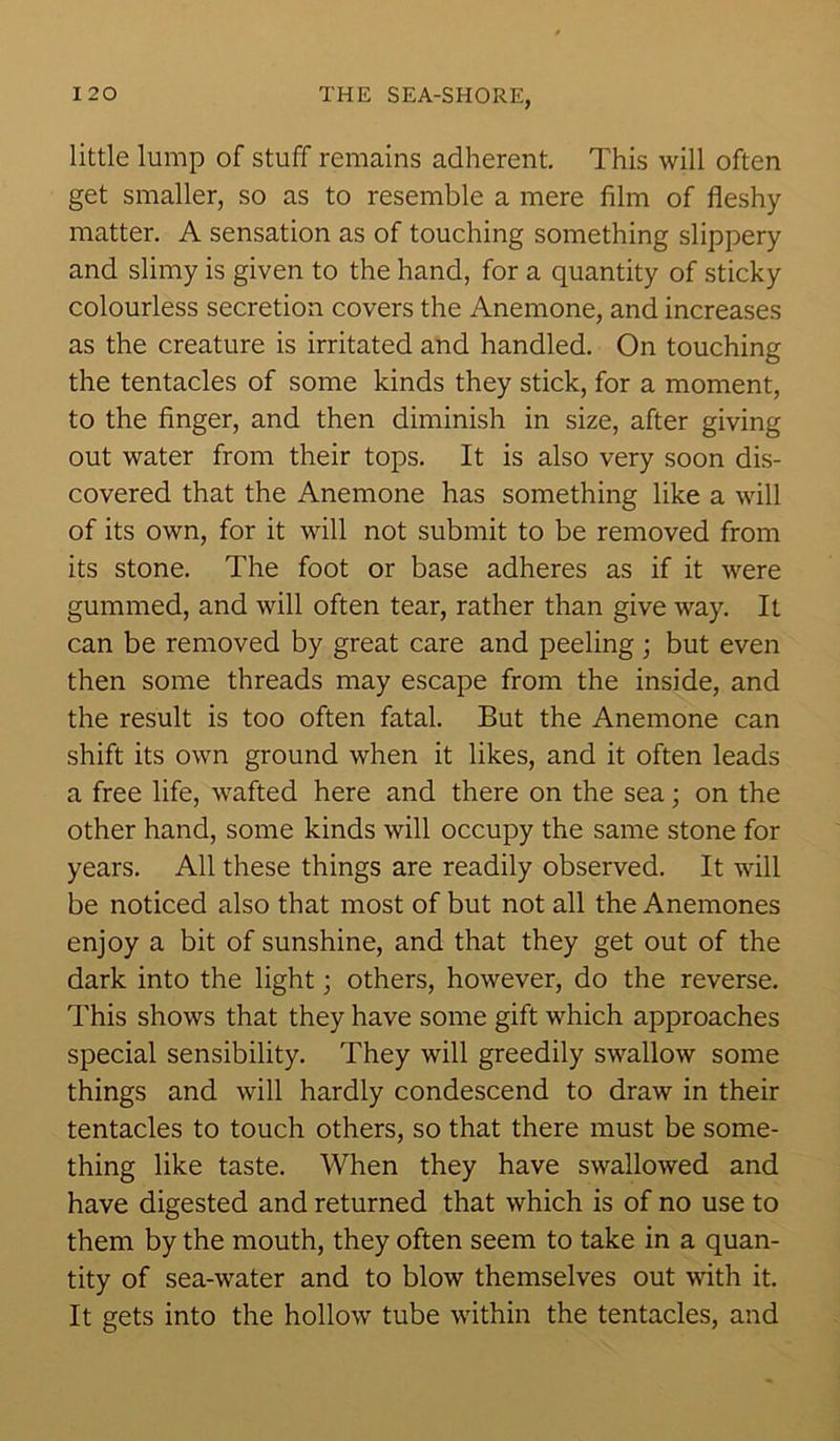 little lump of stuff remains adherent. This will often get smaller, so as to resemble a mere film of fleshy matter. A sensation as of touching something slippery and slimy is given to the hand, for a quantity of sticky colourless secretion covers the Anemone, and increases as the creature is irritated and handled. On touching the tentacles of some kinds they stick, for a moment, to the finger, and then diminish in size, after giving out water from their tops. It is also very soon dis- covered that the Anemone has something like a will of its own, for it will not submit to be removed from its stone. The foot or base adheres as if it were gummed, and will often tear, rather than give way. It can be removed by great care and peeling; but even then some threads may escape from the inside, and the result is too often fatal. But the Anemone can shift its own ground when it likes, and it often leads a free life, wafted here and there on the sea; on the other hand, some kinds will occupy the same stone for years. All these things are readily observed. It will be noticed also that most of but not all the Anemones enjoy a bit of sunshine, and that they get out of the dark into the light; others, however, do the reverse. This shows that they have some gift which approaches special sensibility. They will greedily swallow some things and will hardly condescend to draw in their tentacles to touch others, so that there must be some- thing like taste. When they have swallowed and have digested and returned that which is of no use to them by the mouth, they often seem to take in a quan- tity of sea-water and to blow themselves out with it. It gets into the hollow tube within the tentacles, and