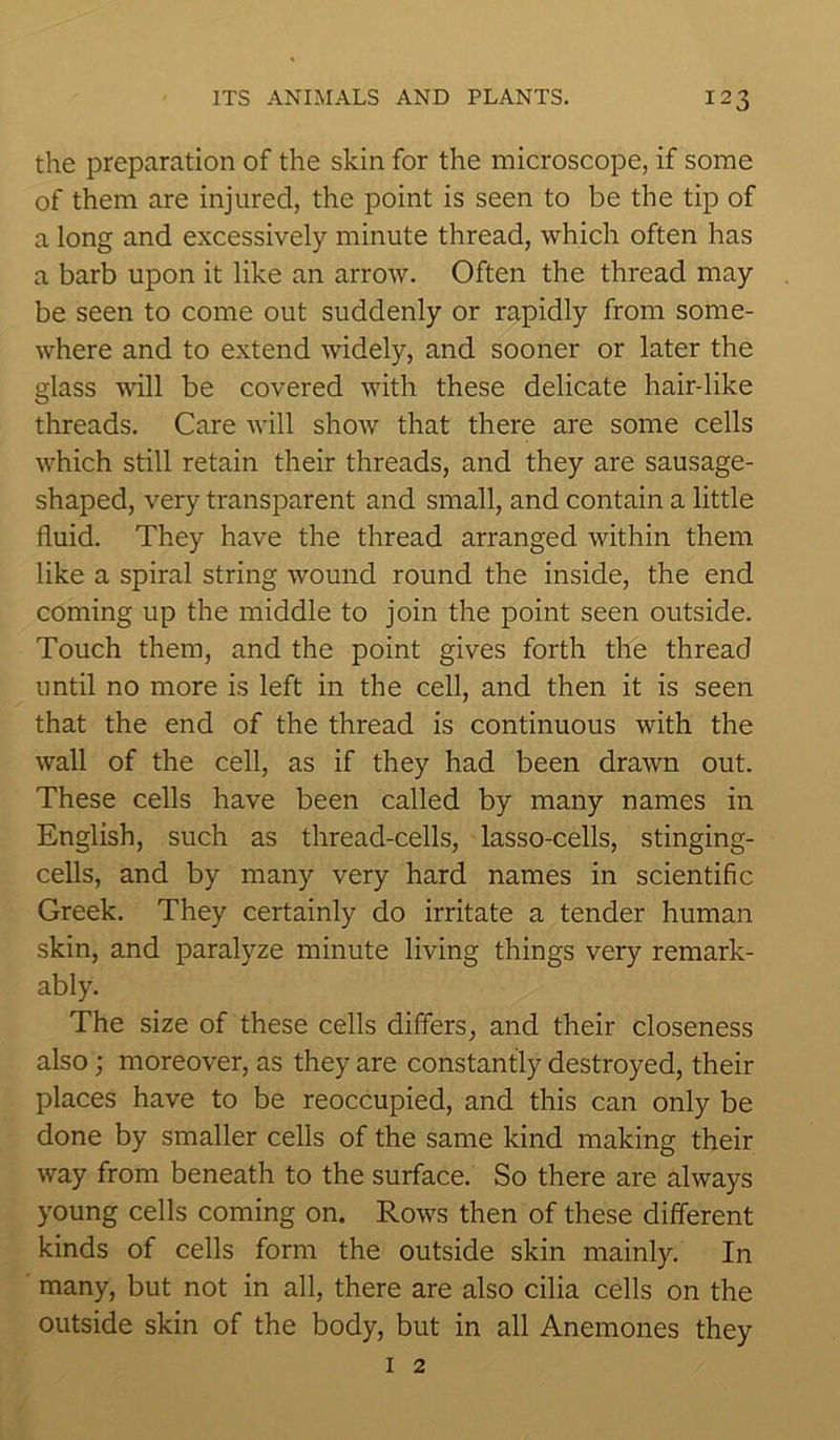 the preparation of the skin for the microscope, if some of them are injured, the point is seen to be the tip of a long and excessively minute thread, which often has a barb upon it like an arrow. Often the thread may be seen to come out suddenly or rapidly from some- where and to extend widely, and sooner or later the glass will be covered with these delicate hair-like threads. Care will show that there are some cells which still retain their threads, and they are sausage- shaped, very transparent and small, and contain a little fluid. They have the thread arranged within them like a spiral string wound round the inside, the end coming up the middle to join the point seen outside. Touch them, and the point gives forth the thread until no more is left in the cell, and then it is seen that the end of the thread is continuous with the wall of the cell, as if they had been drawn out. These cells have been called by many names in English, such as thread-cells, lasso-cells, stinging- cells, and by many very hard names in scientific Greek. They certainly do irritate a tender human skin, and paralyze minute living things very remark- ably. The size of these cells differs, and their closeness also; moreover, as they are constantly destroyed, their places have to be reoccupied, and this can only be done by smaller cells of the same kind making their way from beneath to the surface. So there are always young cells coming on. Rows then of these different kinds of cells form the outside skin mainly. In many, but not in all, there are also cilia cells on the outside skin of the body, but in all Anemones they