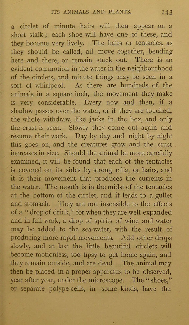 a circlet of minute hairs will then appear on a short stalk; each shoe will have one of these, and they become very lively. The hairs or tentacles, as they should be called, all move -together, bending here and there, or remain stuck out. There is an evident commotion in the water in the neighbourhood of the circlets, and minute things may be seen in a sort of whirlpool. As there are hundreds of the animals in a square inch, the movement they make is very considerable. Every now and then, if a shadow passes over the water, or if they are touched, the whole withdraw, like jacks in the box, and only the crust is seen. Slowly they come out again and resume their wrork. Day by day and night by night this goes on, and the creatures grow and the crust increases in size. Should the animal be more carefully examined, it will be found that each of the tentacles is covered on its sides by strong cilia, or hairs, and it is their movement that produces the currents in the water. The mouth is in the midst of the tentacles at the bottom of the circlet, and it leads to a gullet and stomach. They are not insensible to the effects of a “ drop of drink,” for when they are well expanded and in full work, a drop of spirits of wine and water may be added to the sea-water, with the result of producing more rapid movements. Add other drops slowly, and at last the little beautiful circlets will become motionless, too tipsy to get home again, and they remain outside, and are dead. The animal may then be placed in a proper apparatus to be observed, year after year, under the microscope. The “ shoes,” or separate polype-cells, in some kinds, have the