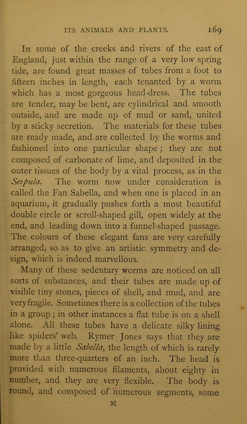 In some of the creeks and rivers of the east of England, just within the range of a very low spring tide, are found great masses of tubes from a foot to fifteen inches in length, each tenanted by a worm which has a most gorgeous head-dress. The tubes are tender, may be bent, are cylindrical and smooth outside, and are made up of mud or sand, united by a sticky secretion. The materials for these tubes are ready made, and are collected by the worms and fashioned into one particular shape ; they are not composed of carbonate of lime, and deposited in the outer tissues of the body by a vital process, as in the Seipula. The worm now under consideration is called the Fan Sabella, and when one is placed in an aquarium, it gradually pushes forth a most beautiful double circle or scroll-shaped gill, open widely at the end, and leading down into a funnel-shaped passage. The colours of these elegant fans are very carefully arranged, so as to give an artistic symmetry and de- sign, which is indeed marvellous. Many of these sedentary worms are noticed on all sorts of substances, and their tubes are made up of visible tiny stones, pieces of shell, and mud, and are very fragile. Sometimes there is a collection of the tubes in a group; in other instances a flat tube is on a shell alone. All these tubes have a delicate silky lining like spiders’ web. Rymer Jones says that they are made by a little Sabella, the length of which is rarely more than three-quarters of an inch. The head is provided with numerous filaments, about eighty in number, and they are very flexible. The body is round, and composed of numerous segments, some M