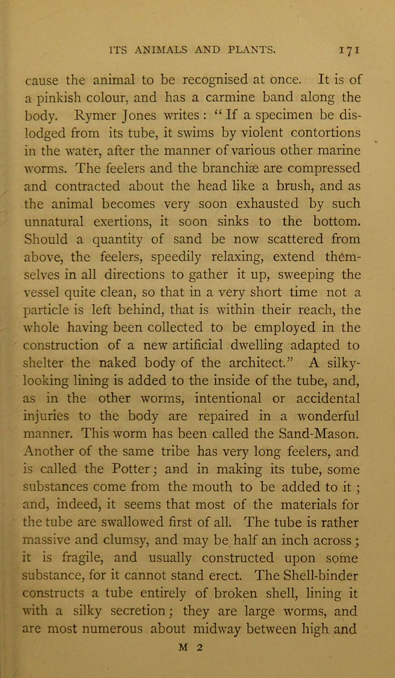 cause the animal to be recognised at once. It is of a pinkish colour, and has a carmine band along the body. Rymer Jones writes : “ If a specimen be dis- lodged from its tube, it swims by violent contortions in the water, after the manner of various other marine worms. The feelers and the branchiae are compressed and contracted about the head like a brush, and as the animal becomes very soon exhausted by such unnatural exertions, it soon sinks to the bottom. Should a quantity of sand be now scattered from above, the feelers, speedily relaxing, extend them- selves in all directions to gather it up, sweeping the vessel quite clean, so that in a very short time not a particle is left behind, that is within their reach, the whole having been collected to be employed in the construction of a new artificial dwelling adapted to shelter the naked body of the architect.” A silky- looking lining is added to the inside of the tube, and, as in the other worms, intentional or accidental injuries to the body are repaired in a wonderful manner. This worm has been called the Sand-Mason. Another of the same tribe has very long feelers, and is called the Potter; and in making its tube, some substances come from the mouth to be added to it; and, indeed, it seems that most of the materials for the tube are swallowed first of all. The tube is rather massive and clumsy, and may be half an inch across; it is fragile, and usually constructed upon some substance, for it cannot stand erect. The Shell-binder constructs a tube entirely of broken shell, lining it with a silky secretion; they are large worms, and are most numerous about midway between high and m 2