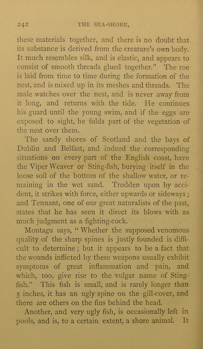 these materials together, and there is no doubt that its substance is derived from the creature’s own body. It much resembles silk, and is elastic, and appears to consist of smooth threads glued together.” The roe is laid from time to time during the formation of the nest, and is mixed up in its meshes and threads. The male watches over the nest, and is never away from it long, and returns with the tide. He continues his guard until the young swim, and if the eggs are exposed to sight, he folds part of the vegetation of the nest over them. The sandy shores of Scotland and the bays of Dublin and Belfast, and indeed the corresponding situations on every part of the English coast, have the Viper Weaver or Sting-fish, burying itself in the loose soil of the bottom of the shallow water, or re- maining in the wet sand. Trodden upon by acci- dent, it strikes with force, either upwards or sideways ; and Tennant, one of our great naturalists of the past, states that he has seen it direct its blows with as much judgment as a fighting-cock. Montagu says, “ Whether the supposed venomous quality of the sharp spines is justly founded is diffi- cult to determine; but it appears to be a fact that the wounds inflicted by these weapons usually exhibit symptoms of great inflammation and pain, and which, too, give rise to the vulgar name of Sting- fish.” This fish is small, and is rarely longer than 5 inches, it has an ugly spine on the gill-cover, and there are others on the fins behind the head. Another, and very ugly fish, is occasionally left in pools, and is, to a certain extent, a shore animal. It
