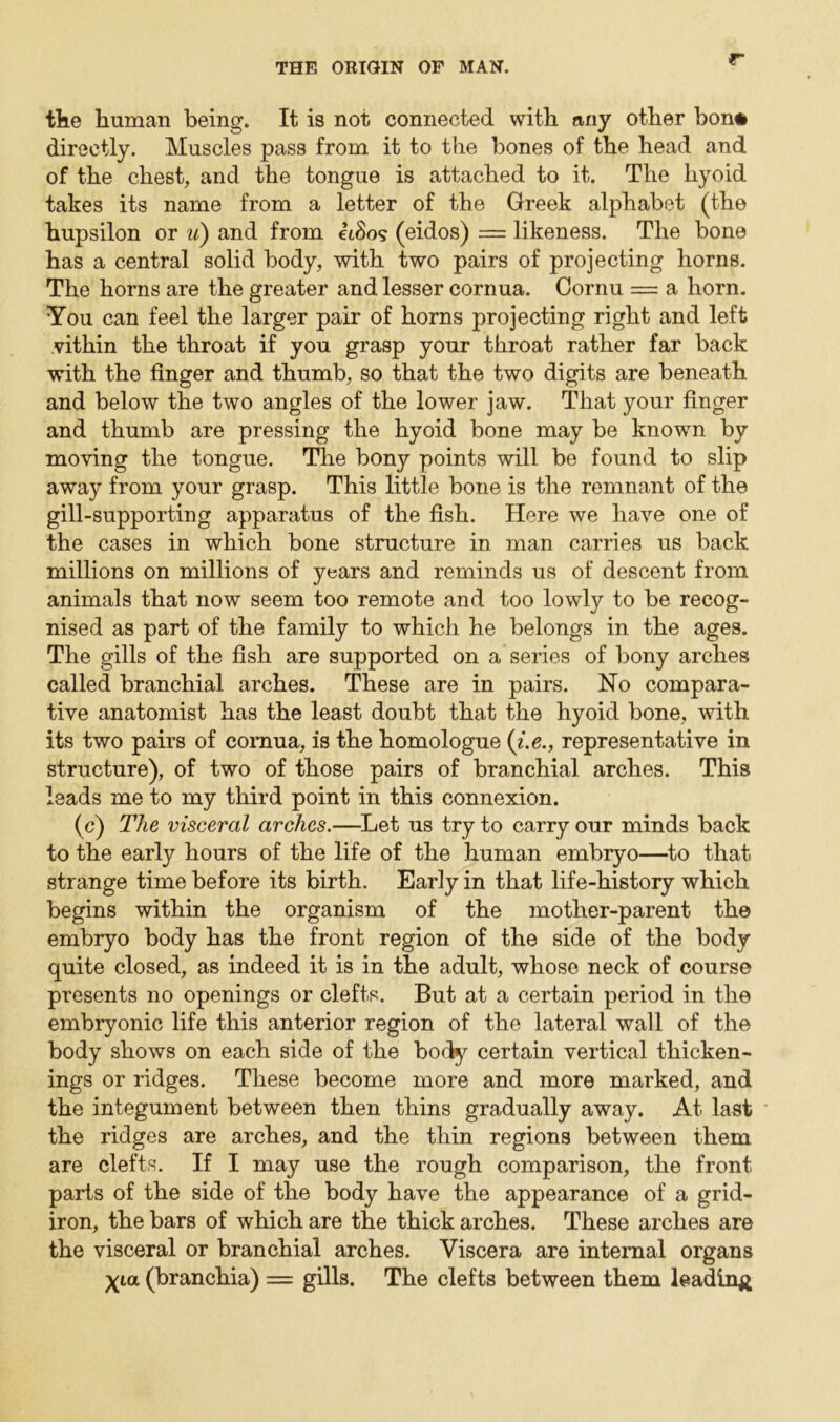 r the human being. It is not connected with any other bon* directly. Muscles pass from it to the bones of the head and of the chest, and the tongue is attached to it. The hyoid takes its name from a letter of the Greek alphabet (the hupsilon or u) and from eidos (eidos) = likeness. The bone has a central solid body, with two pairs of projecting horns. The horns are the greater and lesser cornua. Cornu = a horn. You can feel the larger pair of horns projecting right and left vithin the throat if you grasp your throat rather far back with the finger and thumb, so that the two digits are beneath and below the two angles of the lower jaw. That your finger and thumb are pressing the hyoid bone may be known by moving the tongue. The bony points will be found to slip away from your grasp. This little bone is the remnant of the gill-supporting apparatus of the fish. Here we have one of the cases in which bone structure in man carries us back millions on millions of years and reminds us of descent from animals that now seem too remote and too lowly to be recog- nised as part of the family to which he belongs in the ages. The gills of the fish are supported on a series of bony arches called branchial arches. These are in pairs. No compara- tive anatomist has the least doubt that the hyoid bone, with its two pairs of cornua, is the homologue (i.e., representative in structure), of two of those pairs of branchial arches. This leads me to my third point in this connexion. (c) The visceral arches.—Let us try to carry our minds back to the early hours of the life of the human embryo—to that strange time before its birth. Early in that life-history which begins within the organism of the mother-parent the embryo body has the front region of the side of the body quite closed, as indeed it is in the adult, whose neck of course presents no openings or clefts. But at a certain period in the embryonic life this anterior region of the lateral wall of the body shows on each side of the body certain vertical thicken- ings or ridges. These become more and more marked, and the integument between then thins gradually away. At last the ridges are arches, and the thin regions between them are clefts. If I may use the rough comparison, the front parts of the side of the body have the appearance of a grid- iron, the bars of which are the thick arches. These arches are the visceral or branchial arches. Viscera are internal organs \iol (branchia) = gills. The clefts between them leading