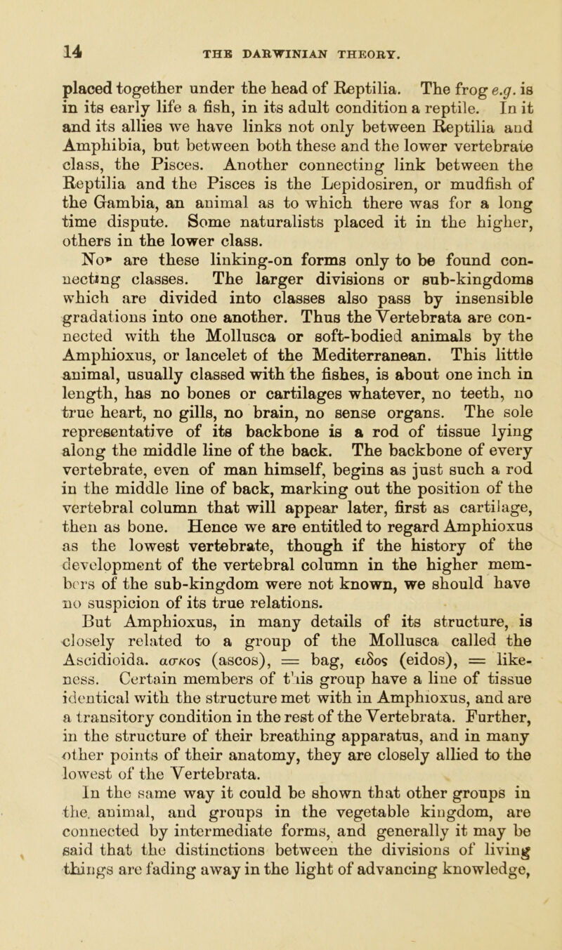 placed together under the head of Reptilia. The frog e.g. is in its early life a fish, in its adult condition a reptile. In it and its allies we have links not only between Reptilia and Amphibia, but between both these and the lower vertebrate class, the Pisces. Another connecting link between the Reptilia and the Pisces is the Lepidosiren, or mudfish of the Gambia, an animal as to which there was for a long time dispute. Some naturalists placed it in the higher, others in the lower class. No* are these linking-on forms only to be found con- necting classes. The larger divisions or sub-kingdoms which are divided into classes also pass by insensible gradations into one another. Thus the Yertebrata are con- nected with the Mollusca or soft-bodied animals by the Amphioxus, or lancelet of the Mediterranean. This little animal, usually classed with the fishes, is about one inch in length, has no bones or cartilages whatever, no teeth, no true heart, no gills, no brain, no sense organs. The sole representative of its backbone is a rod of tissue lying along the middle line of the back. The backbone of every vertebrate, even of man himself, begins as just such a rod in the middle line of back, marking out the position of the vertebral column that will appear later, first as cartilage, then as bone. Hence we are entitled to regard Amphioxus as the lowest vertebrate, though if the history of the development of the vertebral column in the higher mem- bers of the sub-kingdom were not known, we should have no suspicion of its true relations. But Amphioxus, in many details of its structure, is closely related to a group of the Mollusca called the Ascidioida. actkos (ascos), — bag, clSos (eidos), = like- ness. Certain members of this group have a line of tissue identical with the structure met with in Amphioxus, and are a transitory condition in the rest of the Vertebrata. Further, in the structure of their breathing apparatus, and in many other points of their anatomy, they are closely allied to the lowest of the Yertebrata. In the same way it could be shown that other groups in the. animal, and groups in the vegetable kingdom, are connected by intermediate forms, and generally it may be said that the distinctions between the divisions of living things are fading away in the light of advancing knowledge,