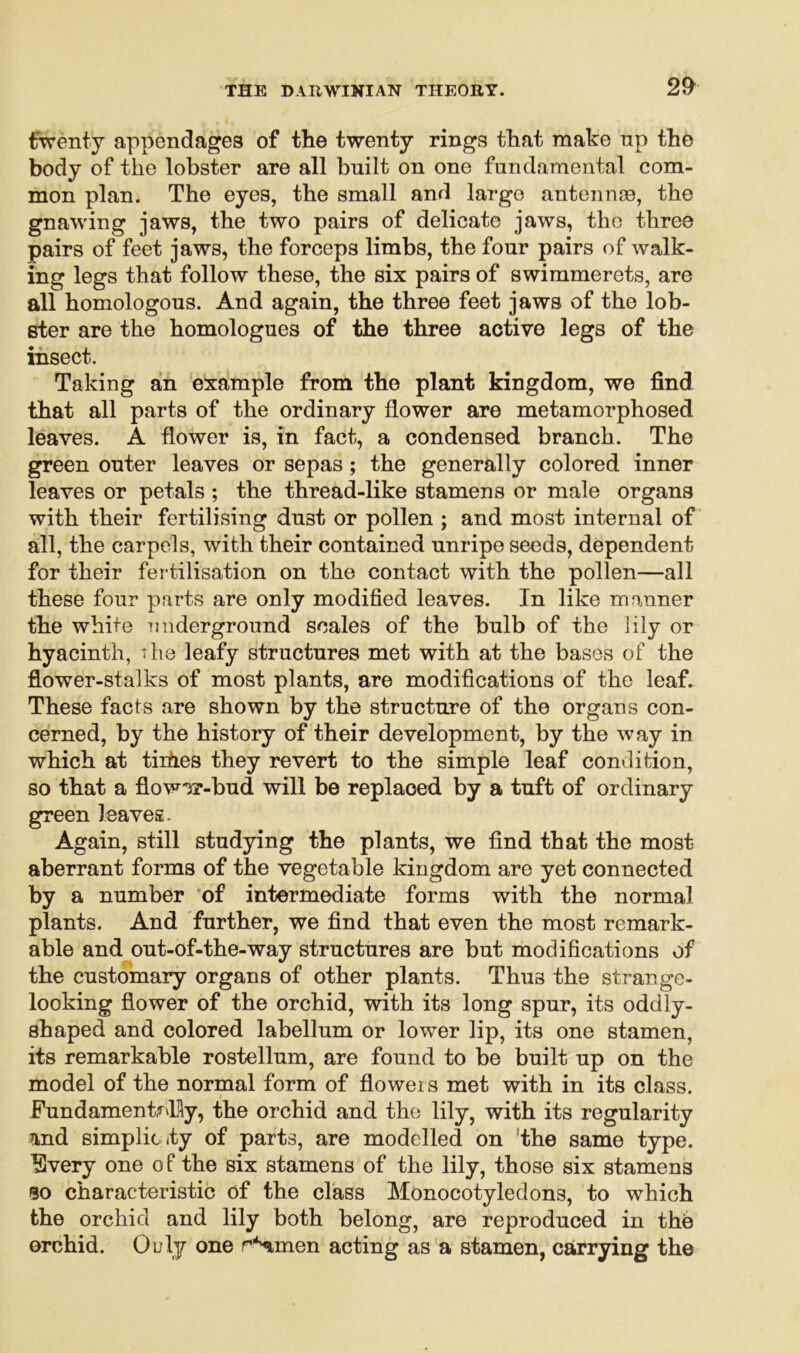 2£ twenty appendages of the twenty rings that make np the body of the lobster are all built on one fundamental com- mon plan. The eyes, the small and largo antennae, the gnawing jaws, the two pairs of delicate jaws, the three pairs of feet jaws, the forceps limbs, the four pairs of walk- ing legs that follow these, the six pairs of swimmerets, are all homologous. And again, the three feet jaws of the lob- ster are the homologues of the three active legs of the insect. Taking an example from the plant kingdom, we find that all parts of the ordinary flower are metamorphosed leaves. A flower is, in fact, a condensed branch. The green outer leaves or sepas; the generally colored inner leaves or petals ; the thread-like stamens or male organs with their fertilising dust or pollen ; and most internal of all, the carpels, with their contained unripe seeds, dependent for their fertilisation on the contact with the pollen—all these four parts are only modified leaves. In like manner the white underground scales of the bulb of the lily or hyacinth, the leafy structures met with at the bases of the flower-stalks of most plants, are modifications of the leaf. These facts are shown by the structure of the organs con- cerned, by the history of their development, by the way in which at tiihes they revert to the simple leaf condition, so that a flowor-bud will be replaced by a tuft of ordinary green leaves. Again, still studying the plants, we find that the most- aberrant forms of the vegetable kingdom are yet connected by a number of intermediate forms with the normal plants. And further, we find that even the most remark- able and out-of-the-way structures are but modifications of the customary organs of other plants. Thus the strange- looking flower of the orchid, with its long spur, its oddly- shaped and colored labellum or lower lip, its one stamen, its remarkable rostellum, are found to be built up on the model of the normal form of flowers met with in its class. Fundamentally, the orchid and the lily, with its regularity und simplic ity of parts, are modelled on 'the same type. ?3very one o f the six stamens of the lily, those six stamens so characteristic of the class Monocotyledons, to which the orchid and lily both belong, are reproduced in the orchid. Ouly one rSmen acting as a stamen, carrying the