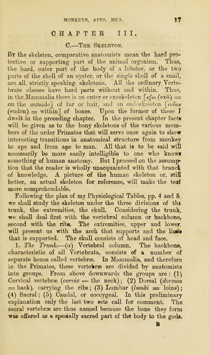 CHAPTER III. C.—The Skeleton. By the skeleton, comparative anatomists mean the hard pro- tective or supporting part of the animal organism. Thus, the hard, outer part of the body of a lobster, or the two parts of the shell of an oyster, or the single shell of a snail, are all, strictly speaking, skeletons. All the ordinary Verte- brate classes have hard parts without and within. Thus, in the Mammalia there is an outer or exoskeleton [e£o> (exo) =: on the outside] of fur or hair, and an endoskeleton [erSov (endon) = within] of bones. Upon the former of these I dwelt in the preceding chapter. In the present chapter facts will be given as to the bony skeletons of the various mem- bers of the order Primates that will serve once again to show interesting transitions in anatomical structure from monkey to ape and from ape to man. All that is to be said will necessarily be more easily intelligible to one who knows something of human anatomy. But I proceed on the assump* tion that the reader is wholly unacquainted with that brand of knowledge. A picture of the human skeleton or, still better, an actual skeleton for reference, will make the texf more comprehendable. Following the plan of my Physiological Tables, pp. 4 and 5 we shall study the skeleton under the three divisions of th< trunk, the extremities, the skull. Considering the trunk, we shall deal first with the vertebral column or backbone, second with the ribs. The extremities, upper and lower, will present us with the arch that supports and the lintb that is supported. The skull consists of head and face. 1. The Trunk.—(a) Vertebral column. The backbone, characteristic of all Vertebrata, consists of a number of separate bones called vertebrae. In Mammalia, and therefore in the Primates, these vertebrae are divided by anatomists into groups. From above downwards the groups are : (1) Cervical vertebrae (cervix — the neck); (2) Dorsal (dorsum = back), carrying the ribs; (3) Lumbar (lumbi = loins); (4) Sacral; (5) Caudal, or coccygeal. In this preliminary explanation only the last two sets call for comment. The sacral vertebrae are thus named because the bone they form was offered as a specially sacred part of the body to the gods. B