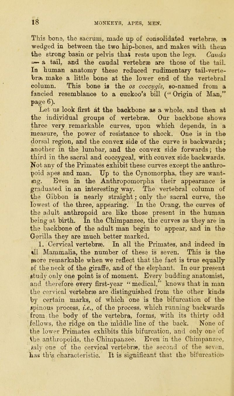 This bona, the sacrum, made up of consolidated vertebrae, i» wedged in between the two hip-bones, and makes with them the strong basin or pelvis that rests upon the legs. Cauda =~- a tail, and the caudal vertebrae are those of the tail. In human anatomy these reduced rudimentary tail-verte- brae make a little bone at the lower end of the vertebral column. This bone is the os coccygis, so-named from a fancied resemblance to a cuckoo’s bill (“ Origin of Man,” page 6). Let us look first at the backbone as a whole, and then at the individual groups of vertebrae. Our backbone shows three very remarkable curves, upon which depends, in a measure, the power of resistance to shock. One is in the dorsal region, and the convex side of the curve is backwards; another in the lumbar, and the convex side forwards; the third in the sacral and coccygeal, with convex side backwards. Not any of the Primates exhibit these curves except the anthro- poid apes and man. Up to the Cynomorpha, they are want- ing. Even in the Anthropomorpha their appearance is graduated in an interesting way. The vertebral column of the Gibbon is nearly straight; only the sacral curve, the lowest of the three, appearing. In the Orang, the curves of the adult anthropoid are like those present in the human being at birth. In the Chimpanzee, the curves as they are in the backbone of the adult man begin to appear, and in the Gorilla they are much better marked. 1. Cervical vertebrae. In all the Primates, and indeed in ill Mammalia, the number of these is seven. This is the paore remarkable when we reflect that the fact is true equally of the neck of the giraffe, and of the elephant. In our present study only one point is of moment. Every budding anatomist, and therefore every first-year “medical,” knows that in man the cervical vertebrae are distinguished from the other kinds by certain marks, of which one is the bifurcation of the spinous process, i.e., of the process, which running backwards from the body of the vertebra, forms, with its thirty odd fellows, the ridge on the middle line of the back. None of the lower Primates exhibits this bifurcation, and only one of the anthropoids, the Chimpanzee. Even in the Chimpanzee, inly one of the cervical vertebrae, the second of the seven, has this characteristic. It is significant that the bifurcation