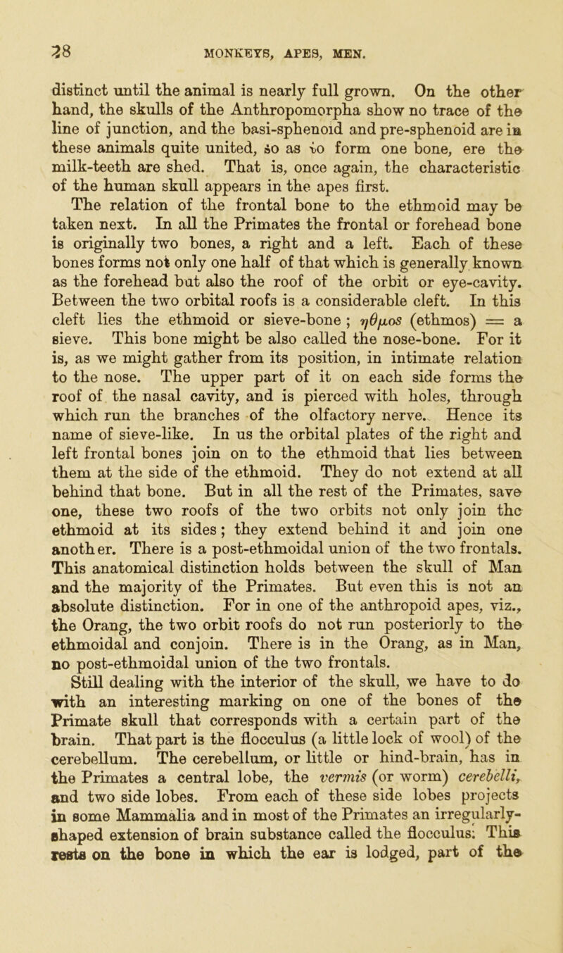 distinct until the animal is nearly full grown. On the other hand, the skulls of the Anthropomorpha show no trace of the line of junction, and the basi-sphenoid and pre-sphenoid are in these animals quite united, »o as to form one bone, ere the milk-teeth are shed. That is, once again, the characteristic of the human skull appears in the apes first. The relation of the frontal bone to the ethmoid may be taken next. In all the Primates the frontal or forehead bone is originally two bones, a right and a left. Each of these bones forms not only one half of that which is generally known as the forehead but also the roof of the orbit or eye-cavity. Between the two orbital roofs is a considerable cleft. In this cleft lies the ethmoid or sieve-bone ; r/O/xos (ethmos) = a sieve. This bone might be also called the nose-bone. For it is, as we might gather from its position, in intimate relation to the nose. The upper part of it on each side forms the roof of the nasal cavity, and is pierced with holes, through which run the branches of the olfactory nerve. Hence its name of sieve-like. In us the orbital plates of the right and left frontal bones join on to the ethmoid that lies between them at the side of the ethmoid. They do not extend at all behind that bone. But in all the rest of the Primates, save one, these two roofs of the two orbits not only join the ethmoid at its sides; they extend behind it and join one anoth er. There is a post-ethmoidal union of the two frontals. This anatomical distinction holds between the skull of Man and the majority of the Primates. But even this is not an absolute distinction. For in one of the anthropoid apes, viz., the Orang, the two orbit roofs do not run posteriorly to the ethmoidal and conjoin. There is in the Orang, as in Man, no post-ethmoidal union of the two frontals. Still dealing with the interior of the skull, we have to do with an interesting marking on one of the bones of the Primate skull that corresponds with a certain part of the brain. That part is the flocculus (a little lock of wool) of the cerebellum. The cerebellum, or little or hind-brain, has in the Primates a central lobe, the vermis (or worm) cerebelltr and two side lobes. From each of these side lobes projects in some Mammalia and in most of the Primates an irregularly- shaped extension of brain substance called the flocculus: This rests on the bone in which the ear is lodged, part of the