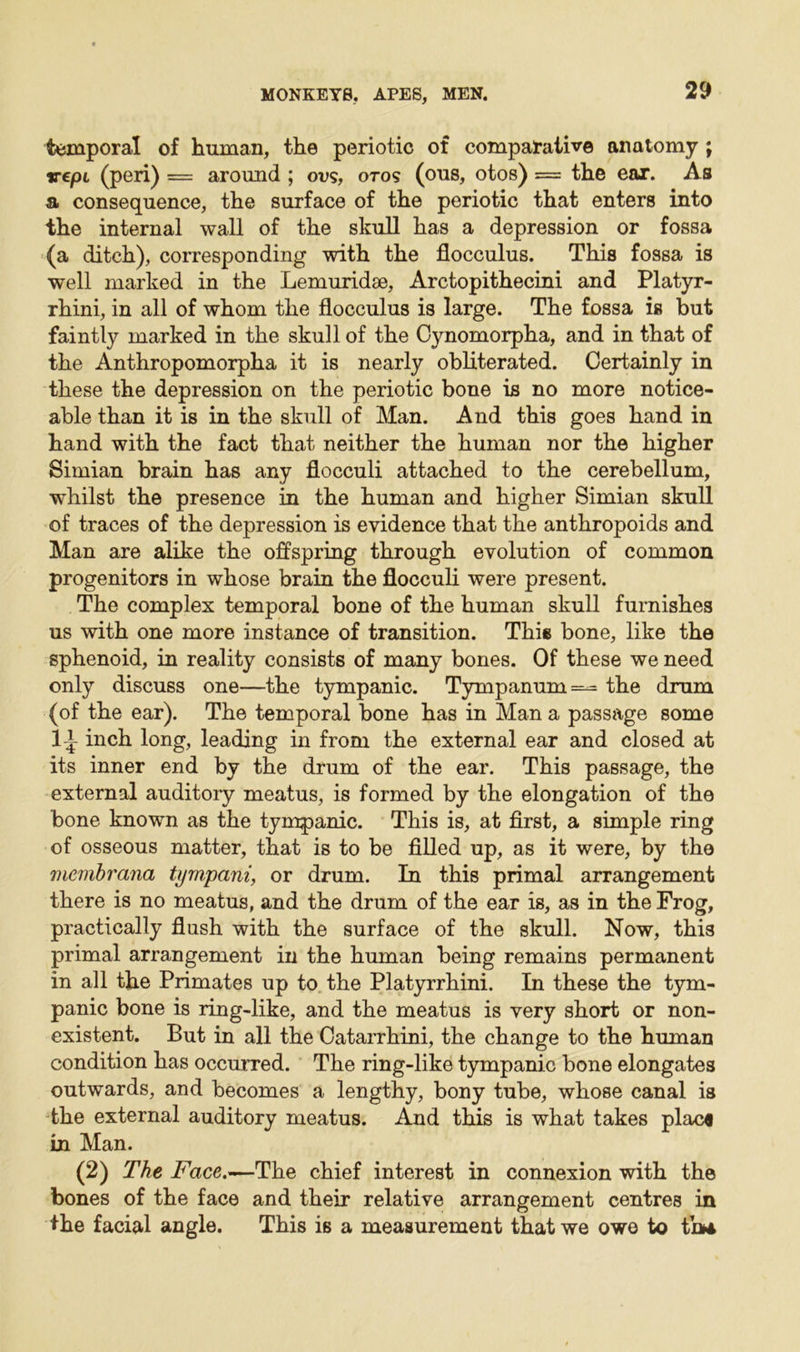 temporal of human, the periotic of comparative anatomy ; vepL (peri) = around ; ovs, otos (ous, otos) = the ear. As a consequence, the surface of the periotic that enters into the internal wall of the skull has a depression or fossa (a ditch), corresponding with the flocculus. This fossa is well marked in the Lemuridae, Arctopithecini and Platyr- rhini, in all of whom the flocculus is large. The fossa is but faintly marked in the skull of the Cynomorpha, and in that of the Anthropomorpha it is nearly obliterated. Certainly in these the depression on the periotic bone is no more notice- able than it is in the skull of Man. And this goes hand in hand with the fact that neither the human nor the higher Simian brain has any flocculi attached to the cerebellum, whilst the presence in the human and higher Simian skull of traces of the depression is evidence that the anthropoids and Man are alike the offspring through evolution of common progenitors in whose brain the flocculi were present. The complex temporal bone of the human skull furnishes us with one more instance of transition. This bone, like the sphenoid, in reality consists of many bones. Of these we need only discuss one—the tympanic. Tympanum =*= the drum (of the ear). The temporal bone has in Man a passage some li inch long, leading in from the external ear and closed at its inner end by the drum of the ear. This passage, the external auditoiy meatus, is formed by the elongation of the bone known as the tympanic. This is, at first, a simple ring of osseous matter, that is to be filled up, as it were, by the membrana tympani, or drum. In this primal arrangement there is no meatus, and the drum of the ear is, as in the Frog, practically flush with the surface of the skull. Now, this primal arrangement in the human being remains permanent in all the Primates up to the Platyrrhini. In these the tym- panic bone is ring-like, and the meatus is very short or non- existent. But in all the Catarrhini, the change to the human condition has occurred. The ring-like tympanic bone elongates outwards, and becomes a lengthy, bony tube, whose canal is the external auditory meatus. And this is what takes plac« in Man. (2) The Face.—The chief interest in connexion with the bones of the face and their relative arrangement centres in the facial angle. This is a measurement that we owe to tb*