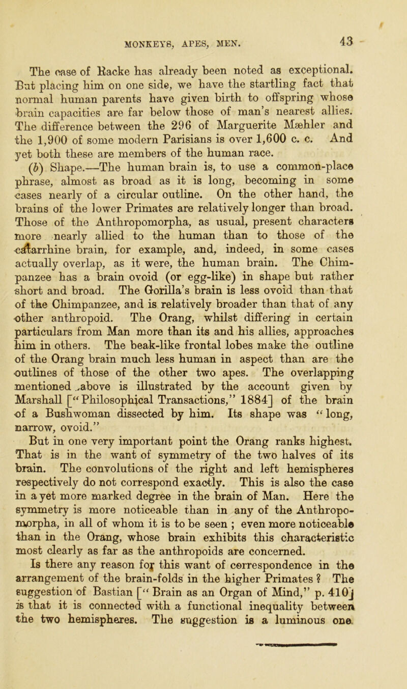 The case of Backe has already been noted as exceptional. Eat placing him on one side, we have the startling fact that normal human parents have given birth to offspring whose brain capacities are far below those of man’s nearest allies. The difference between the 296 of Marguerite Maehler and the 1,900 of some modern Parisians is over 1,600 c. c. And yet both these are members of the human race. (b) Shape.—The human brain is, to use a common-place phrase, almost as broad as it is long, becoming in some cases nearly of a circular outline. On the other hand, the brains of the lower Primates are relatively longer than broad. Those of the Anthropomorpha, as usual, present characters more nearly allied to the human than to those of the C£$arrhine brain, for example, and, indeed, in some cases actually overlap, as it were, the human brain. The Chim- panzee has a brain ovoid (or egg-like) in shape but rather short and broad. The Gorilla’s brain is less ovoid than that of the Chimpanzee, and is relatively broader than that of any other anthropoid. The Orang, whilst differing in certain particulars from Man more than its and his allies, approaches him in others. The beak-like frontal lobes make the outline of the Orang brain much less human in aspect than are the outlines of those of the other two apes. The overlapping mentioned ..above is illustrated by the account given by Marshall [“ Philosophical Transactions,” 1884] of the brain of a Bushwoman dissected by him. Its shape was “ long, narrow, ovoid.” But in one very important point the Orang ranks highest. That is in the want of symmetry of the two halves of its brain. The convolutions of the right and left hemispheres respectively do not correspond exactly. This is also the case in a yet more marked degree in the brain of Man. Here the symmetry is more noticeable than in any of the Anthropo- morpha, in all of whom it is to be seen ; even more noticeable than in the Orang, whose brain exhibits this characteristic most clearly as far as the anthropoids are concerned. Is there any reason foy this want of correspondence in the arrangement of the brain-folds in the higher Primates ? The suggestion of Bastian [“ Brain as an Organ of Mind,” p. 41 Oj is that it is connected with a functional inequality between the two hemispheres. The suggestion is a luminous one