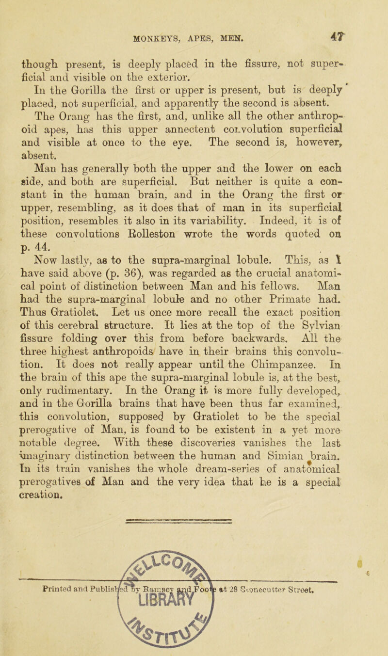 4 T though present, is deeply placed in the fissure, not super- ficial and visible on the exterior. In the Gorilla the first or upper is present, but is deeply placed, not superficial, and apparently the second is absent. The Orang has the first, and, unlike all the other anthrop- oid apes, has this upper annectent convolution superficial and visible at once to the eye. The second is, however, absent. Man has generally both the upper and the lower on each side, and both are superficial. But neither is quite a con- stant in the human brain, and in the Orang the first or upper, resembling, as it does that of man in its superficial position, resembles it also in its variability. Indeed, it is of these convolutions Rolleston wrote the words quoted on p. 44. Now lastly, as to the supra-marginal lobule. This, as \ have said above (p. 36), was regarded as the crucial anatomi- cal point of distinction between Man and his fellows. Man had the supra-marginal lobule and no other Primate had. Thus Gratiolet. Let us once more recall the exact position of this cerebral structure. It lies at the top of the Sylvian fissure folding over this from before backwards. All the three highest anthropoids have in their brains this convolu- tion. It does not really appear until the Chimpanzee. In the brain of this ape the supra-marginal lobule is, at the best, only rudimentary. In the Orang it is more fully developed, and in the Gorilla brains that have been thus far examined, this convolution, supposed by Gratiolet to be the special prerogative of Man, is found to be existent in a yet more notable degree. With these discoveries vanishes the last imaginary distinction between the human and Simian brain. In its train vanishes the whole dream-series of anatomical prerogatives of Man and the very idea that he is a special creation.