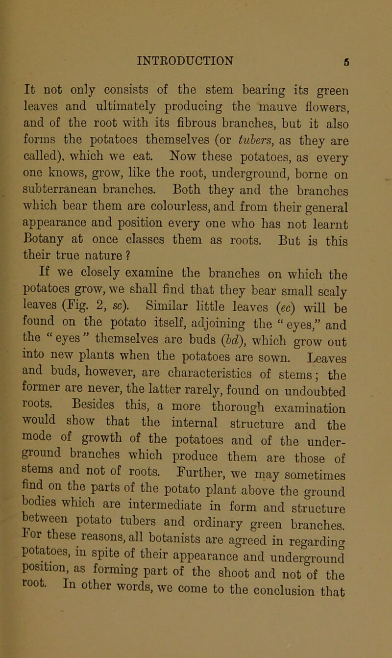 It not only consists of the stem bearing its green leaves and ultimately producing the mauve flowers, and of the root with its fibrous branches, but it also forms the potatoes themselves (or tubers, as they are called), which we eat. Now these potatoes, as every one knows, grow, like the root, underground, borne on subterranean branches. Both they and the branches which bear them are colourless, and from their general appearance and position every one who has not learnt Botany at once classes them as roots. But is this their true nature ? If we closely examine the branches on which the potatoes grow, we shall find that they bear small scaly leaves (Fig. 2, sc). Similar little leaves (cc) will be found on the potato itself, adjoining the “ eyes,” and the eyes themselves are buds (bd), which grow out into new plants when the potatoes are sown. Leaves and buds, however, are characteristics of stems; the former are never, the latter rarely, found on undoubted roots. Besides this, a more thorough examination would show that the internal structure and the mode of growth of the potatoes and of the under- ground branches which produce them are those of stems and not of roots. Further, we may sometimes find on the parts of the potato plant above the ground bodies which are intermediate in form and structure between potato tubers and ordinary green branches. or these, reasons, all botanists are agreed in regarding potatoes, in spite of their appearance and underground position, as forming part of the shoot and not of the root. In other words, we come to the conclusion that