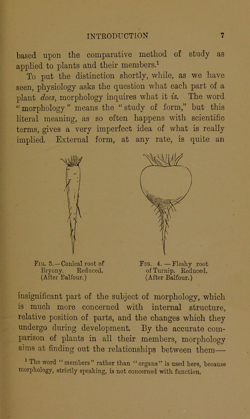 based upon the comparative method of study as applied to plants and their members.1 To put the distinction shortly, while, as we have seen, physiology asks the question what each part of a plant does, morphology inquires what it is. The word “ morphology ” means the “ study of form,” but this literal meaning, as so often happens with scientific terms, gives a very imperfect idea of what is really implied. External form, at any rate, is quite an insignificant part of the subject of morphology, which is much more concerned with internal structure, relative position of parts, and the changes which they undergo during development. By the accurate com- parison of plants in all their members, morphology aims at finding out the relationships between them— 1 The word “members” rather than “organs” is used here, because morphology, strictly speaking, is not concerned with function. Fig. 3.—Conical root of Bryony. Reduced. (After Balfour.) Fig. 4.—Fleshy root of Turnip. Reduced. (After Balfour.)