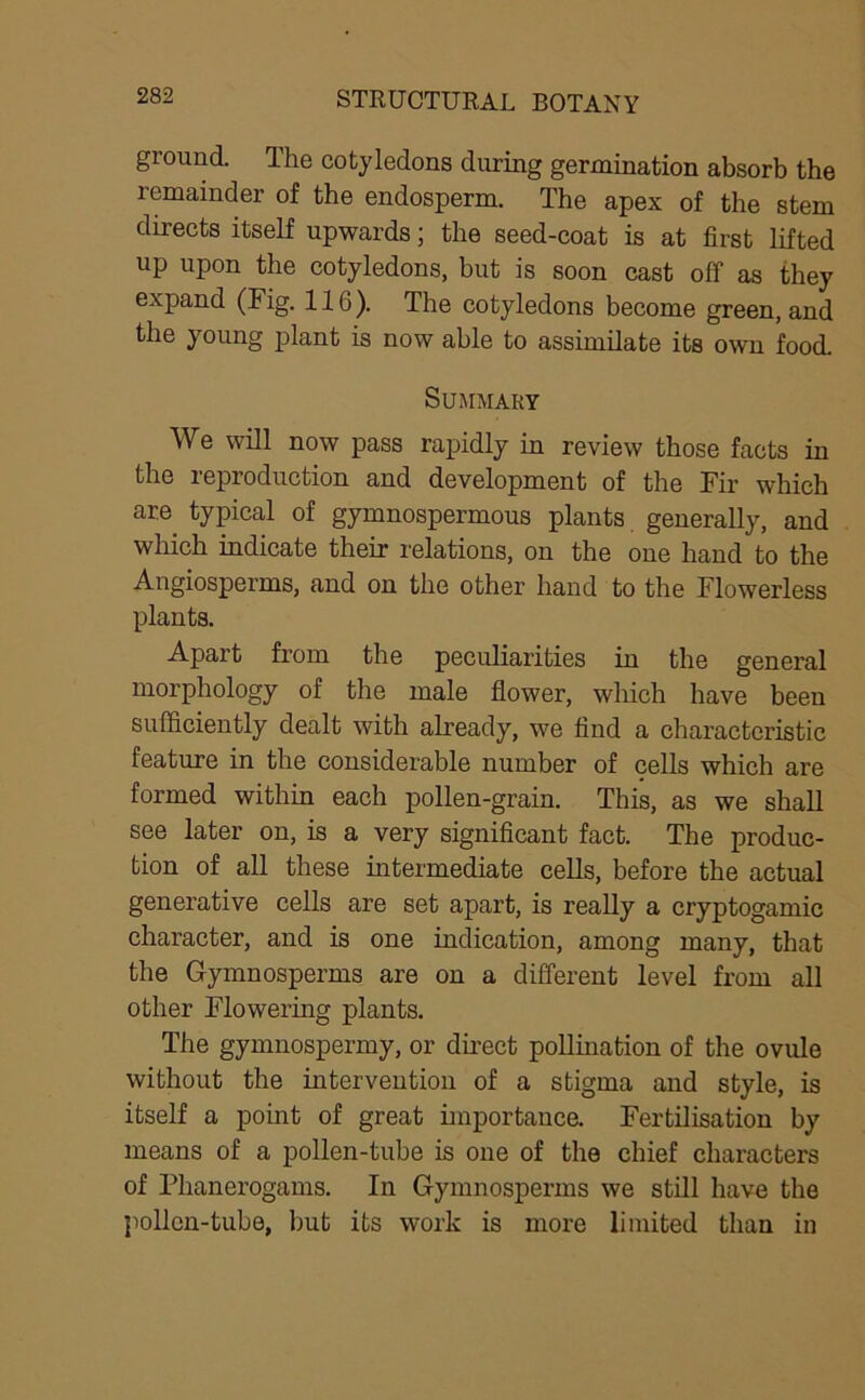 ground. The cotyledons during germination absorb the remainder of the endosperm. The apex of the stem directs itself upwards; the seed-coat is at first lifted up upon the cotyledons, but is soon cast off as they expand (Fig. 116). The cotyledons become green, and the young plant is now able to assimilate its own food. Summary We will now pass rapidly in review those facts in the reproduction and development of the Fir which are typical of gymnospermous plants generally, and which indicate their relations, on the one hand to the Angiosperms, and on the other hand to the Flowerless plants. Apart from the peculiarities in the general morphology of the male flower, which have been sufficiently dealt with already, we find a characteristic feature in the considerable number of cells which are formed within each pollen-grain. This, as we shall see later on, is a very significant fact. The produc- tion of all these intermediate cells, before the actual generative cells are set apart, is really a cryptogamic character, and is one indication, among many, that the Gymnosperms are on a different level from all other Flowering plants. The gymnospermy, or direct pollination of the ovule without the intervention of a stigma and style, is itself a point of great importance. Fertilisation by means of a pollen-tube is one of the chief characters of Phanerogams. In Gymnosperms we still have the pollen-tube, but its work is more limited than in