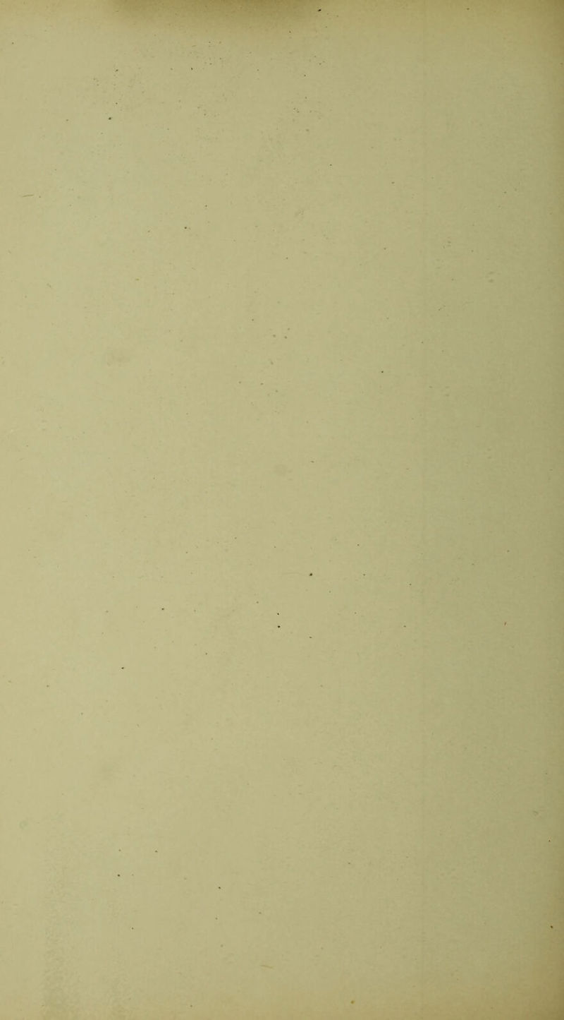 ■' ^ >. ■ Imi^w ‘ '• ^ • ^ /î ■^’- %y lÿ - • Si- ■ ,/t