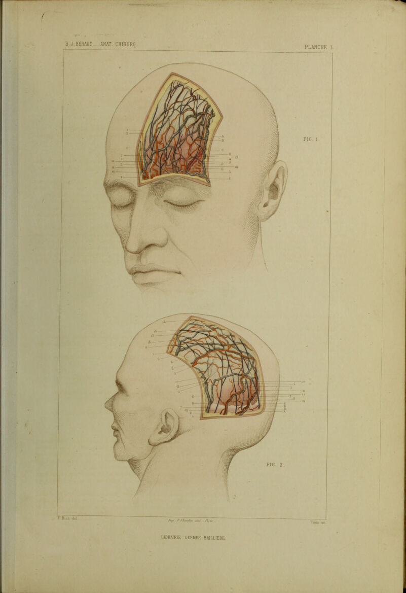 B. J. BÉRAUD. ANAT. CH1RURG PLANCHE I. P Bion dd FIG. 1. Visio 3C FIG. LIBRAIRIE GERMER BAILLIÈRE,