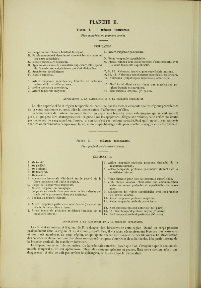 Figure 1. — Région temporale. Plan superficiel ou première couche- EXPLICATION. A. Coupe du cuir chevelu limitant la région. B. Fascia sous-cutané dans lequel rampent les vaisseaux et les nerfs superficiels. C. Muscle auriculaire supérieur. D. Aponévrose du muscle auriculaire supérieur ; elle dépend de l’aponévrose épicranienne qui s’est dédoublée. E. Aponévrose épicranienne. F. Muscle temporal. 1. Artère temporale superficielle, branche de la termi- naison de la carotide externe. 2. Arlère temporale antérieure. 3. Artère temporale moyenne. A. Artère temporale postérieure. 5. Veine temporale superficielle. 6. Plexus veineux sous-aponévrotique s’anastomosant avec la veine temporale superficielle. 7. 8, 13. Vaisseaux lymphatiques superficiels moyens. 9, 10, 11. Vaisseaux lymphatiques superficiels postérieurs. 12. Vaisseaux lymphatiques superficiels antérieurs. 14. Nerf facial allant se distribuer aux muscles des ré- gions frontale et sourcilière. 15. Nerfauriculo-temporal (5e paire). APPLICATIONS A LA PATHOLOGIE ET A LA MÉDECINE OPÉRATOIRE. Le plan superficiel de la région temporale est constitué parles mêmes éléments que les régions précédentes de la voûte crânienne et nous offre la même nature d’affections qu’elles. La terminaison de l’artère temporale fournit en avant une branche assez volumineuse qui se voit sous la peau, et qui peut être avantageusement saignée dans les apoplexies. Malgré son volume, cette artère ne donne pas beaucoup de sang quand on l’ouvre, et son jet n’est pas toujours saccadé.Quoi qu’il en soit, ses rapports avec les os en rendent la compression facile, et un simple bandage suffit pour arrêter le sang, si elle a été ouverte. Figure 2. — Région temporale. Plan profond ou deuxième couche. EXPLICATION. A. Os frontal. B. Os pariétal. C. Os occipital. D. Os temporal. E. Os malaire. F. Aponévrose temporale s’insérant sur le rebord de la fosse temporale qui limite la région. G. Coupe de l’aponévrose temporale. H. Muscle temporal ou crotaphyte. I. Coupe de ce muscle faite pour montrer les vaisseaux et nerfs qui le parcourent dans son épaisseur. J. Tendon du muscle temporal. 1. Arlère temporale postérieure superficielle (branche ter- minale de la carotide externe. 2. Artère temporale profonde antérieure (branche de la maxillaire interne). 3. Artère temporale profonde moyenne (branche de la maxillaire interne). 4. Artère temporale profonde postérieure (branche de la maxillaire interne). 5. Veine allant se jeter dans la temporale superficielle. 6. 7, 8. Plexus veineux établissant une communication entre les veines profondes et superficielles de la ré- gion. 9. Anastomose des veines superficielles avec les branches du plexus veineux. 10. Veine temporale profonde moyenne. 11. Veine temporale profonde postérieure. 12. Nerf temporal profond antérieur (5e paire). 13. 14. Nerf temporal profond moyen (5e paire). 15. Nerf temporal profond postérieur (5e paire). APPLICATIONS A LA PATHOLOGIE ET A LA MÉDECINE OPÉRATOIRE. Les os sont ici minces et fragiles, de là le danger des blessures de cette région. Quand un corps pénètre profondément dans la région et qu’il arrive jusqu’à l’os, il y a alors nécessairement blessure des vaisseaux ut des nerfs nombreux de celte région, ce qui ajoute encore aux dangers de ces blessures. La stratification des couches explique pourquoi les abcès sous-aponévrotiques s’ouvriront dans la bouche, à la partie interne de la branche verticale du maxillaire inférieur. La trépanation est ici très peu usitée. On la redoutait autrefois, parce que l’on s’imaginait que la section du muscle temporal et de son aponévrose offrait des dangers spéciaux et graves. Mais cette section n’est pas dangereuse, et elle ne doit pas arrêter le chirurgien, si le cas exige la trépanation.