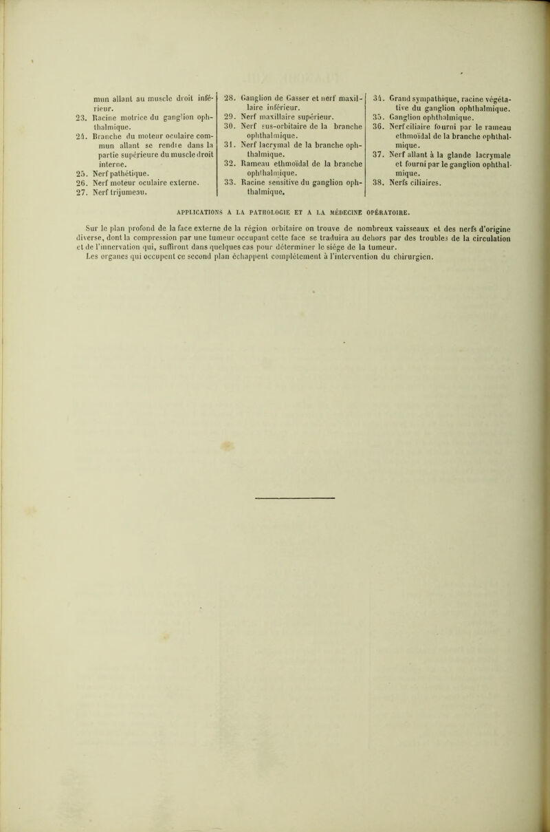mun allant au muscle droit infé- rieur. 23. Racine motrice du ganglion oph- thalmique. 24. Branche du moteur oculaire com- mun allant se rendre dans la partie supérieure du muscle droit interne. 25. Nerf pathétique. 26. Nerf moteur oculaire externe. 27. Nerf trijumeau. 28. Ganglion de Casser et nerf maxil- laire inférieur. 29. Nerf maxillaire supérieur. 30. Nerf sus-orbitaire de la branche ophthalmique. 31. Nerf lacrymal de la branche oph- thalmique. 32. Rameau ethmoïdal de la branche ophthalmique. 33. Racine sensitive du ganglion oph- thalmique. 34. Grand sympathique, racine végéta- tive du ganglion ophthalmique. 35. Ganglion ophthalmique. 36. Nerf ciliaire fourni par le rameau ethmoïdal de la branche ophthal- mique. 37. Nerf allant à la glande lacrymale et fourni par le ganglion ophthal- mique. 38. Nerfs ciliaires. APPLICATIONS A LA PATHOLOGIE ET A LA MÉDECINE OPÉRATOIRE. Sur le plan profond de la face externe de la région orbitaire on trouve de nombreux vaisseaux et des nerfs d’origine diverse, dont la compression par une tumeur occupant cette face se traduira au dehors par des troubles de la circulation et de l'innervation qui, suffiront dans quelques cas pour déterminer le siège de la tumeur. Les organes qui occupent ce second plan échappent complètement à l’intervention du chirurgien.