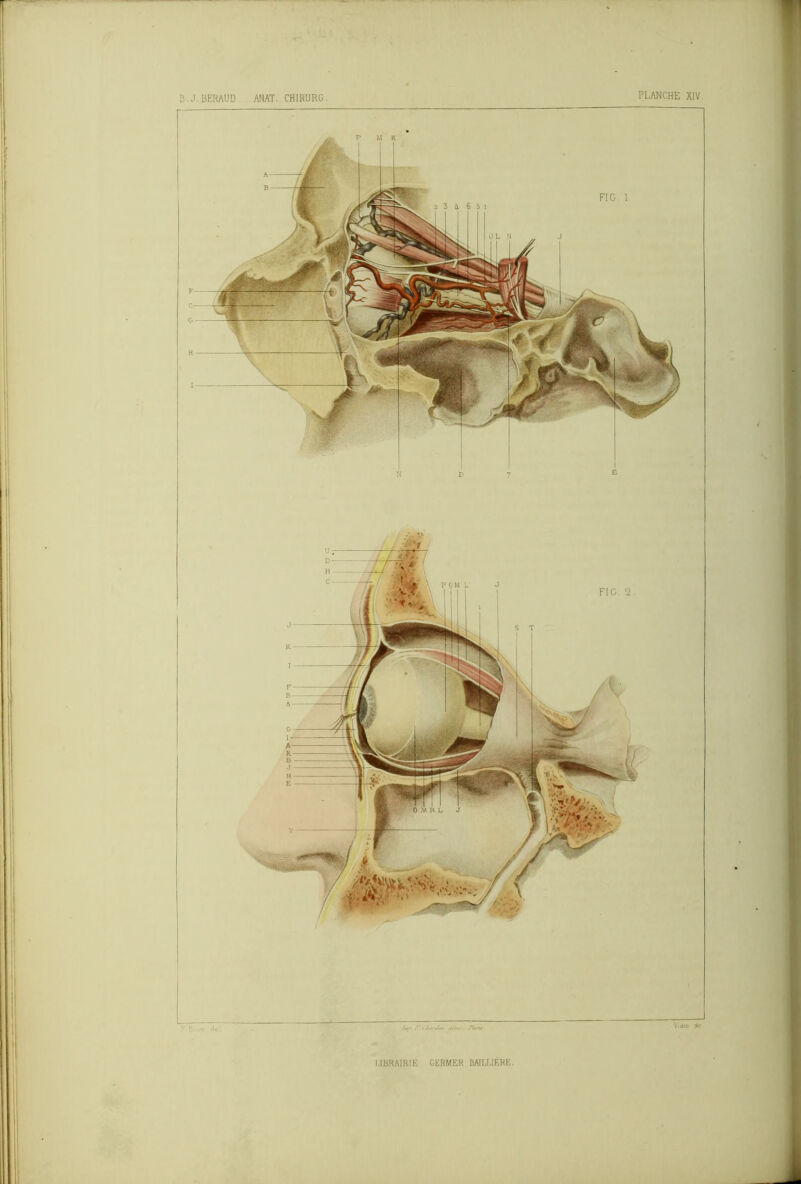 B. J, BERAUD ANAT. CHIRURG. LIBRAIRIE GERMER BAILLIÈRE.