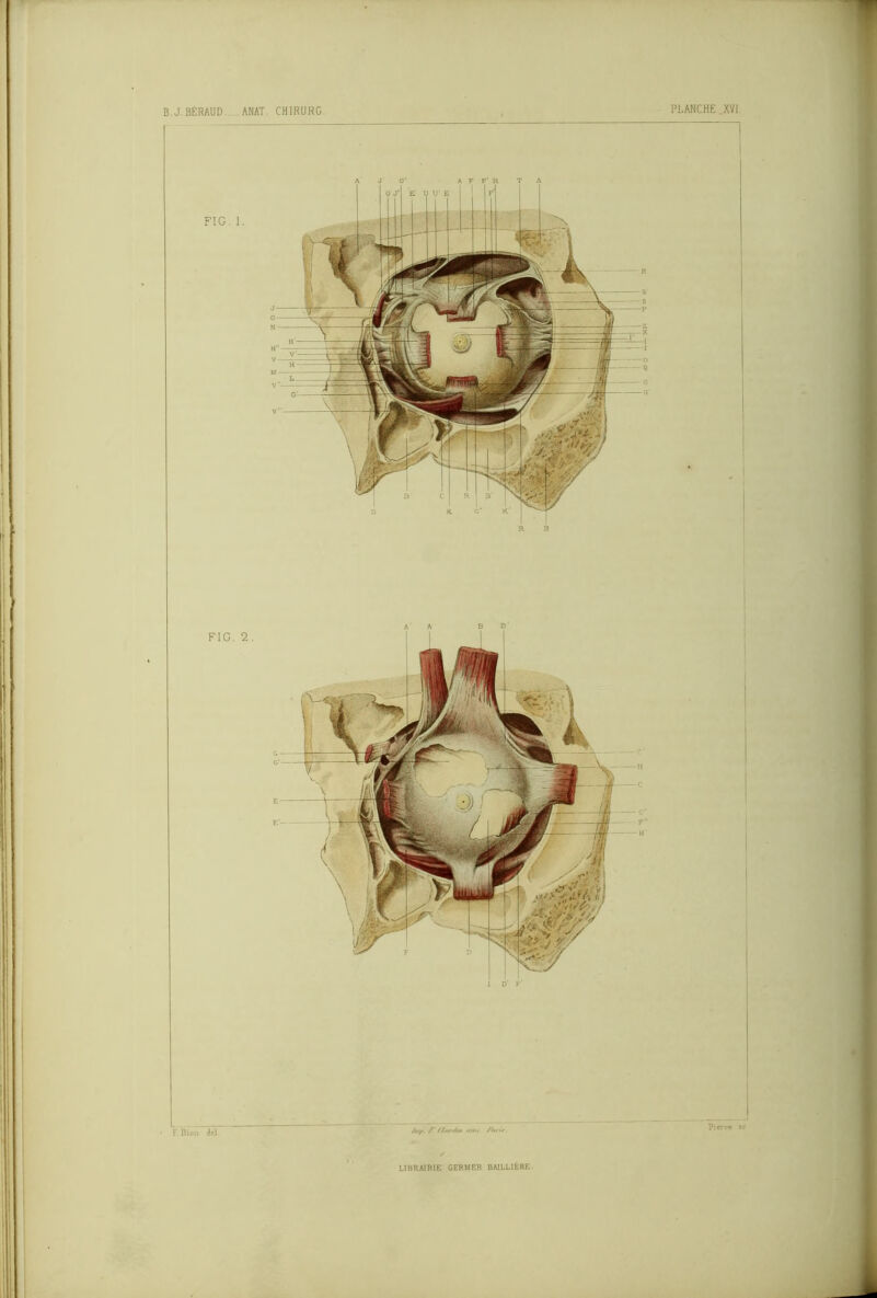 L t.Bion dci /////>. / f/inri/mi tant /'m-f FIG. 1. FIG. 2 . LIBRAIRIE GERMER BAILLIÈRE