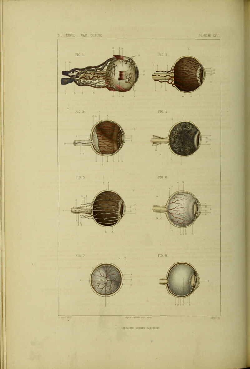FIG. 4 FIG. 5 FIG. 6 FIG 7 FIG. 6. F Rio.) de! /////>. /’ / Zl/l/r//*/ /‘,/fts Sèbin ac LIBRAIRIE GERMER BAILLIÈRE.