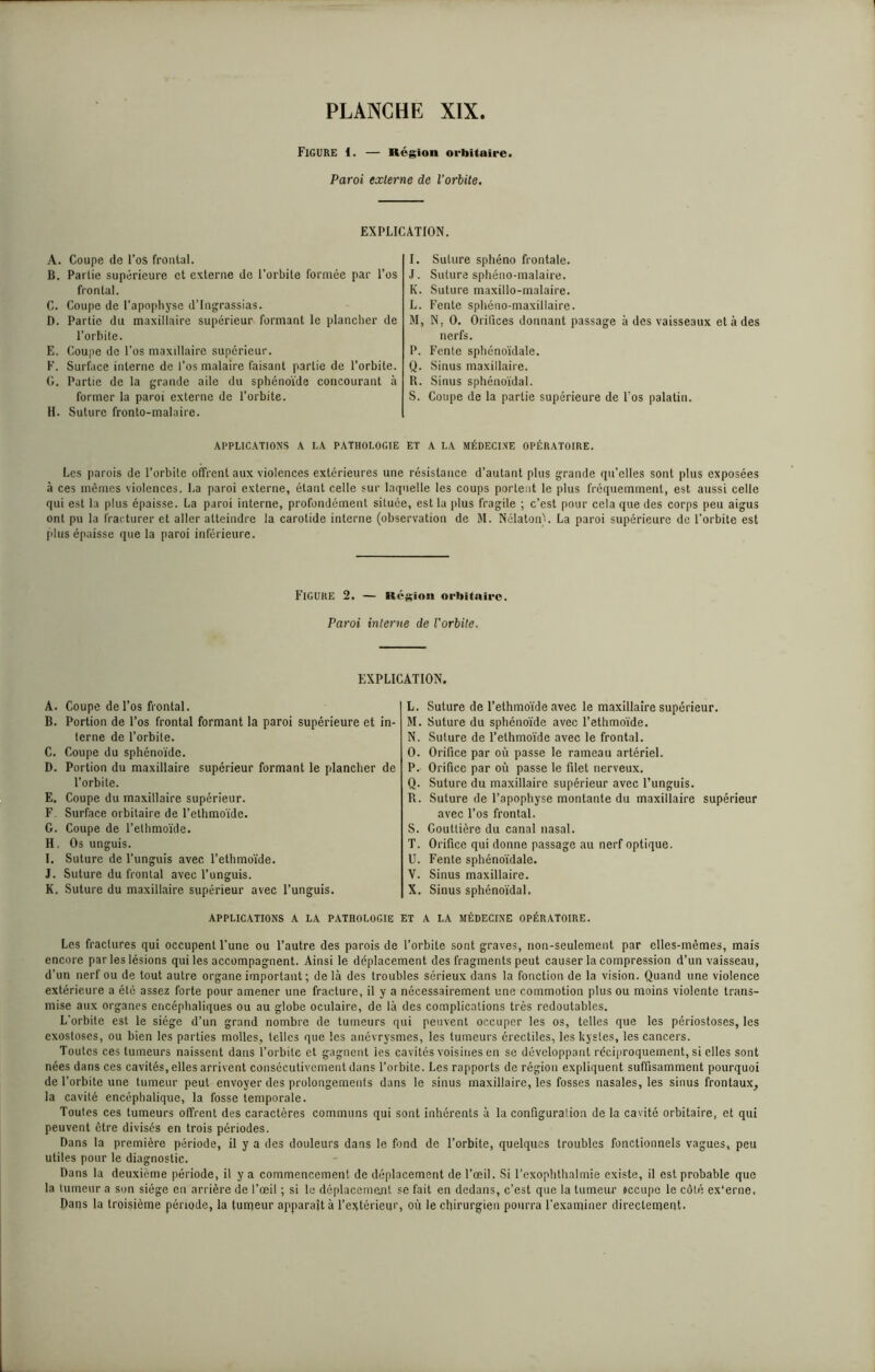 FIGURE 1, — Région orbitaire. Paroi externe de l’orbite. EXPLICATION. A. Coupe de l’os frontal. B. Partie supérieure et externe de l'orbite formée par l’os frontal. C. Coupe de l’apophyse d’Ingrassias. D. Partie du maxillaire supérieur formant le plancher de l’orbite. E. Coupe de l’os maxdlaire supérieur. F. Surface interne de l’os malaire faisant partie de l’orbite. G. Partie de la grande aile du sphénoïde concourant à former la paroi externe de l’orbite. H. Suture fronto-malaire. APPLICATIONS A I.A PATHOLOGIE Les parois de l’orbite offrent aux violences extérieures une à ces mêmes violences. La paroi externe, étant celle sur laq qui est la plus épaisse. La paroi interne, profondément situéi ont pu la fracturer et aller atteindre la carotide interne (obsi plus épaisse que la paroi inférieure. I. Suture sphéno frontale. J. Sutura sphéno-malaire. K. Suture maxillo-malaire. L. Fente sphéno-maxiilaire. M. N. 0. Orifices donnant passage à des vaisseaux et à des nerfs. P. Fente sphénoïdale. Q. Sinus maxillaire. R. Sinus sphénoïdal. S. Coupe de la partie supérieure de l’os palatin. ET A LA MÉDECINE OPÉRATOIRE. résistance d’autant plus grande qu’elles sont plus exposées uelle les coups portent le plus fréquemment, est aussi celle :, est la plus fragile ; c’est pour cela que des corps peu aigus rvation de M. Nélaton). La paroi supérieure de l’orbite est FIGURE 2. — Région orbitaire. Paroi interne de l'orbite. EXPLICATION. A. Coupe de l’os frontal. B. Portion de l’os frontal formant la paroi supérieure et in- terne de l’orbite. C. Coupe du sphénoïde. D. Portion du maxillaire supérieur formant le plancher de l’orbite. E. Coupe du maxillaire supérieur. F. Surface orbitaire de l’ethmoïde. G. Coupe de l’elhmoïde. H. Os unguis. I. Suture de l’unguis avec l’ethmoïde. J. Suture du frontal avec l’unguis. K. Suture du maxillaire supérieur avec l’unguis. L. Suture de l’ethmoïde avec le maxillaire supérieur. M. Suture du sphénoïde avec l’ethmoïde. N. Suture de l’ethmoïde avec le frontal. O. Orifice par où passe le rameau artériel. P. Orifice par où passe le filet nerveux. Q. Suture du maxillaire supérieur avec l’unguis. R. Suture de l’apophyse montante du maxillaire supérieur avec l’os frontal. S. Gouttière du canal nasal. T. Orifice qui donne passage au nerf optique. U. Fente sphénoïdale. V. Sinus maxillaire. X. Sinus sphénoïdal. APPLICATIONS A LA PATHOLOGIE ET A LA MÉDECINE OPÉRATOIRE. Les fractures qui occupent l’une ou l’autre des parois de l’orbite sont graves, non-seulement par elles-mêmes, mais encore par les lésions qui les accompagnent. Ainsi le déplacement des fragments peut causer la compression d’un vaisseau, d’un nerf ou de tout autre organe important ; de là des troubles sérieux dans la fonction de la vision. Quand une violence extérieure a été assez forte pour amener une fracture, il y a nécessairement une commotion plus ou moins violente trans- mise aux organes encéphaliques ou au globe oculaire, de là des complications très redoutables. L’orbite est le siège d’un grand nombre de tumeurs qui peuvent occuper les os, telles que les périostoses, les exostoses, ou bien les parties molles, telles que les anévrysmes, les tumeurs érectiles, les kystes, les cancers. Toutes ces tumeurs naissent dans l’orbite et gagnent les cavités voisines en se développant réciproquement, si elles sont nées dans ces cavités, elles arrivent consécutivement dans l’orbite. Les rapports de région expliquent suffisamment pourquoi de l’orbite une tumeur peut envoyer des prolongements dans le sinus maxillaire, les fosses nasales, les sinus frontaux, la cavité encéphalique, la fosse temporale. Toutes ces tumeurs offrent des caractères communs qui sont inhérents à la configuration de la cavité orbitaire, et qui peuvent être divisés en trois périodes. Dans la première période, il y a des douleurs dans le fond de l’orbite, quelques troubles fonctionnels vagues, peu utiles pour le diagnostic. Dans la deuxième période, il y a commencement de déplacement de l’œil. Si l’exophthalmie existe, il est probable que la tumeur a son siège en arrière de l’œil ; si le déplacement se fait en dedans, c’est que la tumeur nccupe le côté ex’erne. Dans la troisième période, la tumeur apparaît à l’extérieur, où le chirurgien pourra l’examiner directement.