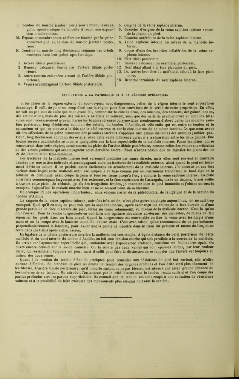 L. Tendon du muscle jambier postérieur contenu dans sa gaine aponévrotique de laquelle il reçoit une expan- sion membraneuse. M. Expansion membraneuse et fibreuse fournie par la gaine aponévrotique au tendon du muscle jambier posté- rieur. N. Tendons du muscle long fléchisseur commun des orteils contenus dans leur gaine aponévrotique. 1. Artère tibiale postérieure. 2. Rameau calcanéen fourni par l’artère tibiale posté- rieure. 3. Autre rameau calcanéen venant de l’artère tibiale pos- térieure. U. Veines accompagnant l’artère tibiale postérieure. 5. Origine de la veine saphène interne. 6. Branche d’origine de la veine saphène interne venant de la plante du pied. 7. Branche antérieure de la veine saphène interne. 8. Veine saphène interne au niveau de la malléole in- terne. 9. Coupe d’une des branches collatérales de la veine sa- phène interne. 10. Nerf tibial postérieur. 11. Rameau calcanéen du nerf tibial postérieur. 12. Nerf tibial allant à la face plantaire du pied. 13. lé. Autres branches du nerf tibial allant à la face plan- taire. 15. Branche terminale du nerf saphène interne. APPLICATIONS A LA PATHOLOGIE ET A LA MÉDECINE OPÉRATOIRE. Si les plaies de la région externe du cou-de-pied sont dangereuses, celles de la région interne le sont encore bien davantage. 11 suffit de jeter un coup d’œil sur la région pour être convaincu de la vérité de cette proposition. En effet, ne voit-on pas tout de suite que nous avons ici, comme sur le côté externe, des muscles, des tendons, des gaines, des os, des articulations, mais de plus des vaisseaux artériels et veineux, ainsi que des nerfs de premier ordre et dont les bles- sures sont nécessairement graves. Parmi les bourses séreuses ou synoviales mentionnons d’abord celles des muscles jam- bier postérieur, long fléchisseur commun des orteils, du tendon d’Achille, et celle enfin qui est entre ce tendon et le calcanéum et qui se montre à la fois sur le côté externe et sur le côté interne de ce même tendon. Ce que nous avons dit des affections de la gaine commune des péroniers latéraux s’applique aux gaines distinctes des muscles jambier pos- rieur, long fléchisseur commun des orteils, avec cette seule différence qu’ici il y a séparation entre les deux gaines. Une bourse séreuse accidentelle se montre quelquefois sur la face superficielle de la malléole interne. Parmi les plaies qui se rencontrent dans cette région, mentionnons les plaies de l’artère tibiale postérieure, comme celles des veines superficielles ou des veines profondes qui accompagnent cette dernière artère. Nous n’avons besoin que de signaler les plaies des os et de l’articulation tibio-tarsienne. Les fractures de la malléole interne sont rarement produites par cause directe, mais elles sont souvent au contraire causées par une action indirecte et accompagnant alors les fractures de la malléole externe. Ainsi quand le pied est forte- ment dévié en dehors il se produit assez facilement un arrachement de la malléole interne. J’ai observé un cas fort curieux dans lequel cette malléole avait été coupée à sa base comme par un instrument tranchant; le bord aigu de la solution de continuité avait coupé la peau et tous les tissus jusqu’à l’os, y compris la veine saphène interne. La plaie ainsi faite communiquait largement avec Los extérieur, et la face supérieure de l’astragale, luxée en dedans, faisait saillie à travers cette plaie. Je réduisis, je fis des irragations froides, je maintins bien le pied immobile et j’obtins un succès complet. Aujourd’hui le malade marche bien et ne se ressent point de sa blessure. On pratique ici des opérations importantes, nous voulons parler de la phlébotomie, de la ligature et de la section du tendon d’Achille. La saignée de la veine saphène interne, autrefois très-usitée, n’est plus guère employée aujourd’hui, on ne sait trop pourquoi. Quoi qu’il en soit, ou peut voir que la saphène interne, après avoir reçu les veines de la face dorsale et d’une grande partie de la face plantaire du pied, forme un tronc volumineux, au niveau de la malléole interne. C’est là qu’on doit l’ouvrir. Pour la rendre turgescente on doit faire une ligature circulaire au-dessus des malléoles, ou mieux on fait séjourner les pieds dans un bain chaud. Quand la turgescence est convenable on fixe la veine avec les doigts d’une main et on la coupe avec la lancette tenue cle l’autre main. C’est avec raison qu’on recommande de ne pas enfoncer perpendiculairement la lancette, pour éviter que la pointe ne pénètre dans le tissu du périoste et même de l’os, et ne reste dans les tissus après s’être cassée. La ligature de la tibiale postérieure derrière la malléole est très-simple. A égale distance du bord postérieur de cette malléole et du bord interne du tendon d’Achille, on fait une incision courbe qui soit parallèle à la courbe de la malléole. On arrive sur l’aponévrose superficielle qui, confondue avec l’aponévrose profonde, constitue un feuillet très-épais. On ouvre encore celui-ci sur la sonde cannelée. On la sépare des deux veines qui sont épaisses et qui, par leur couleur mate, lui ressemblent toujours un peu; mais il suffit pour faire la distinction de se rappeler que l’artère est toujours au milieu des deux veines. Quant à la section du tendon d’Achille pratiquée pour remédier aux déviations du pied bot surtout, elle n’offre aucune difficulté. En étendant le pied on écarte le tendon des organes profonds et l’on évite ainsi plus sûrement de les blesser. L’artère tibiale postérieure, qu’il importe surtout de ne pas blesser, est située à une assez grande distance du bord interne de ce tendon. On introduit l’instrument par le côté interne sous le tendon rendu saillant et l’on coupe des parties profondes vers les parties superficielles. On connaît que le tendon est tout coupé à une sensation de résistance vaincue et à la possibilité de faire exécuter des mouvements plus étendus qu’avant la section.