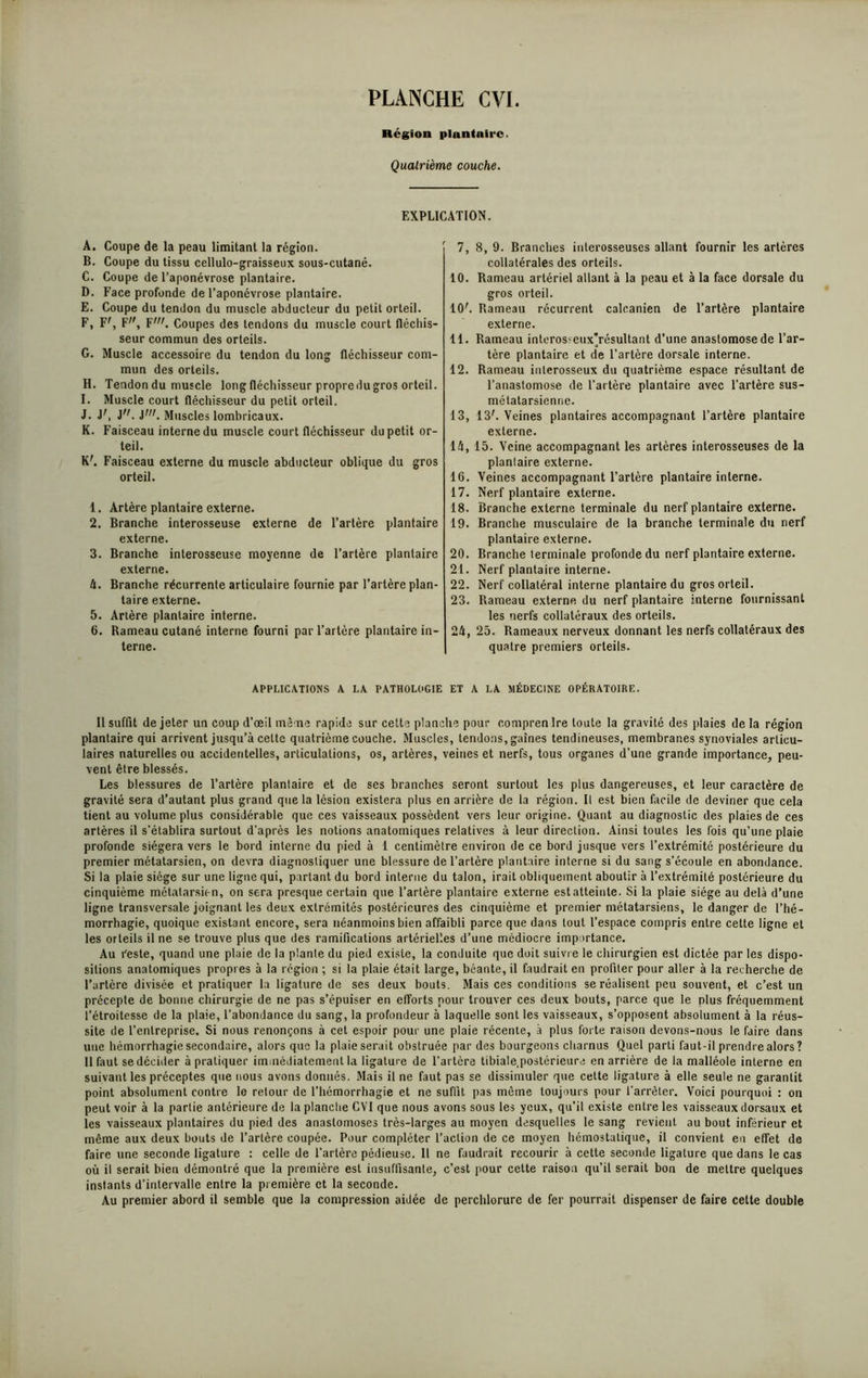 Région plantaire. Quatrième couche. EXPLICATION. A. Coupe de la peau limitant la région. B. Coupe du tissu cellulo-graisseux sous-cutané. C. Coupe de l’aponévrose plantaire. D. Face profonde de l’aponévrose plantaire. E. Coupe du tendon du muscle abducteur du petit orteil. F. F', F, F'. Coupes des tendons du muscle court fléchis- seur commun des orteils. G. Muscle accessoire du tendon du long fléchisseur com- mun des orteils. H. Tendon du muscle long fléchisseur propre du gros orteil. I. Muscle court fléchisseur du petit orteil. J. J', J, y. Muscles lomliricaux. K. Faisceau interne du muscle court fléchisseur du petit or- teil. K'. Faisceau externe du muscle abducteur oblique du gros orteil. 1. Artère plantaire externe. 2. Branche interosseuse externe de l’artère plantaire externe. 3. Branche interosseuse moyenne de l’artère plantaire externe. 4. Branche récurrente articulaire fournie par l’artère plan- taire externe. 5. Artère plantaire interne. 6. Bameau cutané interne fourni par l’artère plantaire in- terne. 7, 8, 9. Branches inlerosseuses allant fournir les artères collatérales des orteils. 10. Rameau artériel allant à la peau et à la face dorsale du gros orteil. 10'. Rameau récurrent calcanien de l’artère plantaire externe. 11. Rameau interos-eux*résultant d’une anastomose de l’ar- tère plantaire et de l’artère dorsale interne. 12. Rameau interosseux du quatrième espace résultant de l’anastomose de l’artère plantaire avec l’artère sus- métatarsienne. 13. 13L Veines plantaires accompagnant l’artère plantaire externe. 14. 15. Veine accompagnant les artères interosseuses de la plantaire externe. 16. Veines accompagnant l’artère plantaire interne. 17. Nerf plantaire externe. 18. Branche externe terminale du nerf plantaire externe. 19. Branche musculaire de la branche terminale du nerf plantaire externe. 20. Branche terminale profonde du nerf plantaire externe. 21. Nerf plantaire interne. 22. Nerf collatéral interne plantaire du gros orteil. 23. Rameau externe du nerf plantaire interne fournissant les nerfs collatéraux des orteils. 24. 25. Rameaux nerveux donnant les nerfs collatéraux des quatre premiers orteils. APPLICATIONS A LA PATHOLOGIE ET A LA MÉDECINE OPÉRATOIRE. Il suffit de jeter un coup d’œil mè ne rapide sur cette planche pour comprenlre toute la gravité des plaies de la région plantaire qui arrivent jusqu’à cette quatrième couche. Muscles, tendons, gaines tendineuses, membranes synoviales articu- laires naturelles ou accidentelles, articulations, os, artères, veines et nerfs, tous organes d’une grande importance, peu- vent être blessés. Les blessures de l’artère plantaire et de ses branches seront surtout les plus dangereuses, et leur caractère de gravité sera d’autant plus grand que la lésion existera plus en arrière de la région. Il est bien facile de deviner que cela tient au volume plus considérable que ces vaisseaux possèdent vers leur origine. Quant au diagnostic des plaies de ces artères il s’établira surtout d'après les notions anatomiques relatives à leur direction. Ainsi toutes les fois qu’une plaie profonde siégera vers le bord interne du pied à 1 centimètre environ de ce bord jusque vers l’extrémité postérieure du premier métatarsien, on devra diagnostiquer une blessure de l’artère plantaire interne si du sang s’écoule en abondance. Si la plaie siège sur une ligne qui, partant du bord interne du talon, irait obliquement aboutir à l’extrémité postérieure du cinquième métatarsien, on sera presque certain que l’artère plantaire externe estatteinte. Si la plaie siège au delà d’une ligne transversale joignant les deux extrémités postérieures des cinquième et premier métatarsiens, le danger de l’hé- morrhagie, quoique existant encore, sera néanmoins bien affaibli parce que dans tout l’espace compris entre cette ligne et les orteils il ne se trouve plus que des ramifications artérielles d’une médiocre importance. Au l'este, quand une plaie de la plante du pied existe, la conduite que doit suivre le chirurgien est dictée par les dispo- sitions anatomiques propres à la région ; si la plaie était large, béante, il faudrait en profiter pour aller à la recherche de l’artère divisée et pratiquer la ligature de ses deux bouts. Mais ces conditions se réalisent peu souvent, et c’est un précepte de bonne chirurgie de ne pas s’épuiser en efforts pour trouver ces deux bouts, parce que le nlus fréquemment l’étroitesse de la plaie, l’abondance du sang, la profondeur à laquelle sont les vaisseaux, s’opposent absolument à la réus- site de l’entreprise. Si nous renonçons à cet espoir pour une plaie récente, à plus forte raison devons-nous le faire dans une hémorrhagie secondaire, alors que la plaie serait obstruée par des bourgeons charnus Quel parti faut-il prendre alors? Il faut se décider à pratiquer immédiatement la ligature de l’artère tibiale.postérieure en arrière de la malléole interne en suivant les préceptes que nous avons donnés. Mais il ne faut pas se dissimuler que cette ligature à elle seule ne garantit point absolument contre le retour de l’hémorrhagie et ne suffit pas même toujours pour l’arrêter. Voici pourquoi : on peut voir à la partie antérieure de la planche CVI que nous avons sous les yeux, qu’il existe entre les vaisseaux dorsaux et les vaisseaux plantaires du pied des anastomoses très-larges au moyen desquelles le sang revient, au bout inférieur et même aux deux bouts de l’artère coupée. Pour compléter l’action de ce moyen hémostatique, il convient eu effet de faire une seconde ligature : celle de l’artère pédieuse. 11 ne faudrait recourir à cette seconde ligature que dans le cas où il serait bien démontré que la première est insuffisante, c’est pour cette raison qu’il serait bon de mettre quelques instants d’intervalle entre la première et la seconde. Au premier abord il semble que la compression aidée de perchlorure de fer pourrait dispenser de faire cette double