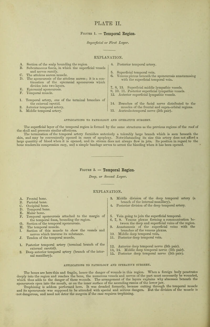 Figure l. — Temporal Region. Superficial or First Layer. EXPLANATION. A. Section of the scalp bounding the region. B. Subcutaneous fascia, in which the superficial vessels and nerves ramify. C. The attolens aurem muscle. D. The aponeurosis of the attolens aurem ; it is a con- tinuation of the epicranial aponeurosis which divides into two layers. E. Epicranial aponeurosis. E. Temporal muscle. 1. Temporal artery, one of the terminal branches of the external carotid. 2. Anterior temporal artery. 3. Middle temporal artery. APPLICATIONS TO PATHOLOGY AND OPERATIVE SURGERY. The superficial layer of the temporal region is formed by the same structures as the previous regions of the roof of the skull and presents similar affections. The termination of the temporal artery furnishes anteriorly a tolerably large branch which is seen beneath the skin, and may be conveniently opened in cases of apoplexy. Notwithstanding its size this artery does not afford a large quantity of blood when it is opened, and its stream does not always flow in jets. Its position in regard to the bone l'endors its compression easy, aud a simple bandage serves to arrest the bleeding when it has been opened. 4. Posterior temporal artery. 5. Superficial temporal vein. 6. Venous plexus beneath the aponeurosis anastamosing with the superficial temporal vein. 7. 8, 13. Superficial middle lympathic vessels. 9, 10, 11. Posterior superficial lympathic vessels. 12. Anterior superficial lympathic vessels. 14. Branches of the facial nerve distributed to the muscles of the frontal and supra-orbital regions. 15. Aimculo-temporal nerve (5th pair). Figure 2. — Temporal Region- Beep, or Second Layer. EXPLANATION. A. Frontal bone. B. Parietal bone. C. Occipital bone. D. Temporal bone. E. Malar bone. F. Temporal aponeurosis attached to the margin of the temporal fossa, bounding the region. G-. Section of the temporal aponeurosis. H. The temporal muscle. I. Section of this muscle to show the vessels and nerves which traverse its substance. J. Tendon of the temporal muscle. 1. Posterior temporal artery (terminal branch of the external carotid). 2. Deep anterior temporal artery (branch of the inter- nal maxillary). 3. Middle division of the deep temporal artery (a branch of the internal maxillary). 4. Posterior division of the deep temporal artery. 5. Vein going to join the superficial temporal. 6. 7, 8. Venous plexus forming a communication be- tween the deep and superficial veins of the region. 9. Anastamosis of the superficial veins with the branches of the venous plexus. 10. Middle deep temporal vein. 11. Posterior deep temporal vein. 12. Anterior deep temporal nerve (5th pair). 13. 14. Middle deep temporal nerve (5th pah). 15. Posterior deep temporal nerve (5th pair). APPLICATIONS TO PATHOLOGY AND OPERATIVE SURGERY. The bones are here thin and fragile, hence the danger of wounds in tliis region. When a foreign body penetrates deeply into the region and reaches the bone, the numerous vessels and nerves of the part must necessarily be wounded, which thus adds to the danger of these wounds. The arrangement of the layers explains why abscesses beneath the aponeurosis open into the mouth, or on the inner surface of the ascending ramus of the lower jaw. Trephining is seldom performed here. It was dreaded formerly, because cutting through the temporal muscle and its aponeurosis was supposed to be attended with special and serious dangers. But the division of the muscle is not dangerous, and need not deter the surgeon if the case requires trephining.