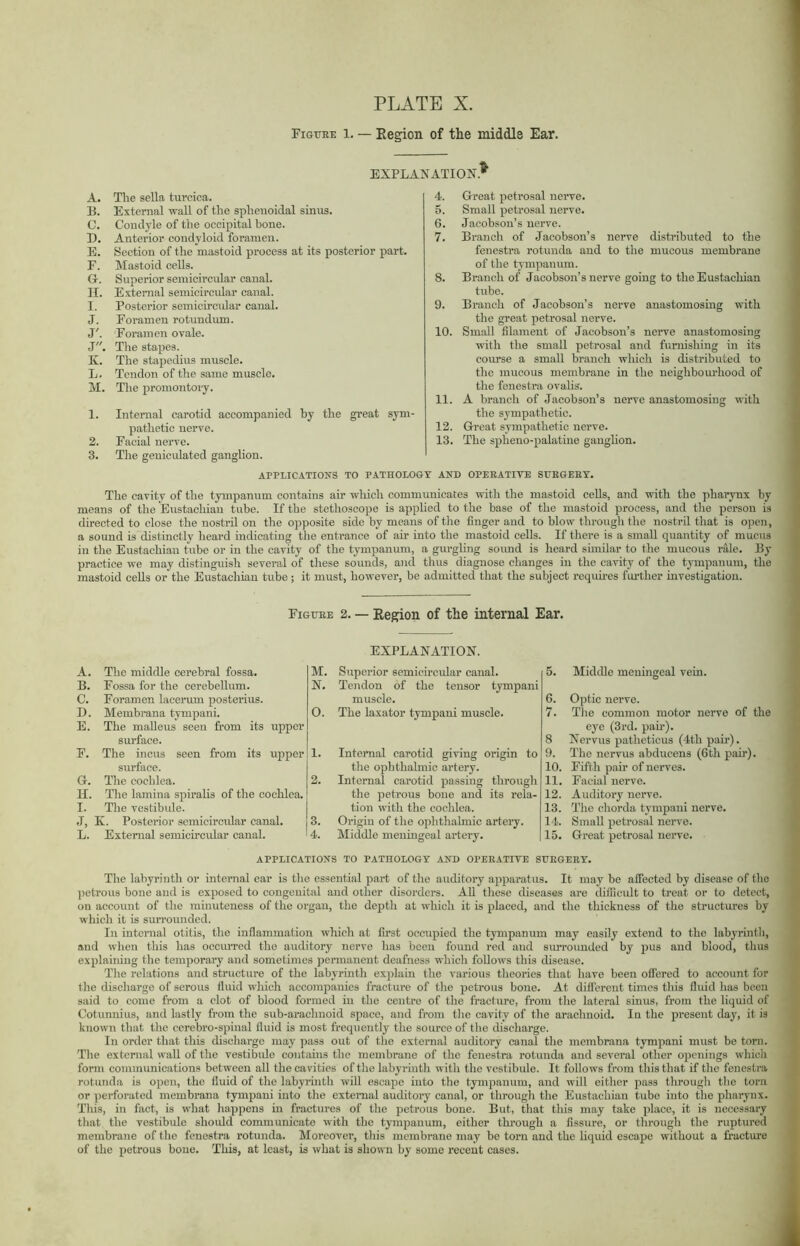 Fighee l. — Region of the middle Ear. EXPLANATION.* A. The sella turcica. B. External wall of the sphenoidal sinus. C. Condyle of the occipital bone. D. Anterior condyloid foramen. E. Section of the mastoid process at its posterior part. F. Mastoid cells. G. Superior semicircular canal. II. External semicircular canal. I. Posterior semicircular canal. J. Foramen rotundum. J'. Foramen ovale. J. The stapes. K. The stapedius muscle. L. Tendon of the same muscle. M. The promontory. 1. Internal carotid accompanied by the great sym- pathetic nerve. 2. Facial nerve. 3. The geniculated ganglion. 4. Great petrosal nerve. 5. Small petrosal nerve. 6. Jacobson’s nerve. 7. Branch of Jacobson’s nerve distributed to the fenestra rotunda and to the mucous membrane of the tympanum. 8. Branch of Jacobson’s nerve going to the Eustachian tube. 9. Branch of Jacobson’s nerve anastomosing with the great petrosal nerve. 10. Small filament of Jacobson’s nerve anastomosing with the small petrosal and furnishing in its course a small branch wliich is distributed to the mucous membrane in the neighbourhood of the fenestra ovalis. 11. A branch of Jacobson’s nerve anastomosing with the sympathetic. 12. Great sympathetic nerve. 13. The spheno-palatine ganglion. APPLICATIONS TO PATHOLOGY AND OPEEATIYE SUEGERY. The cavity of the tympanum contains air which communicates with the mastoid cells, and with the pharynx by means of the Eustachian tube. If the stethoscope is applied to the base of the mastoid process, and the person is directed to close the nostril on the opposite side by means of the finger and to blow through the nostril that is open, a sound is distinctly heard inchoating the entrance of air into the mastoid cells. If there is a small quantity of mucus in the Eustachian tube or in the cavity of the tympanum, a gurgling sound is heard similar to the mucous rale. By practice we may distinguish several of these sounds, and thus diagnose changes in the cavity of the tympanum, the mastoid cells or the Eustachian tube ; it must, however, be admitted that the subject requires further investigation. Figüee 2. — Region of the internal Ear. A. The middle cerebral fossa. B. Fossa for the cerebellum. C. Foramen lacerum posterius. I). Membrana tympani. E. The malleus seen from its upper surface. F. The incus seen from its upper surface. G. The cochlea. II. The lamina spiralis of the cochlea. I. The vestibule. J, K. Posterior semicircular canal. L. External semicircular canal. EXPLANATION. M. Superior semicircular canal. N. Tendon of the tensor tympani muscle. O. The laxator tympani muscle. 1. Internal carotid giving origin to the ophthalmic artery. 2. Internal carotid passing through the petrous bone and its rela- tion with the cochlea. 3. Origin of the ophthalmic artery. 4. Middle meningeal artery. 5. Middle meningeal vein. 6. Optic nerve. 7. The common motor nerve of the eye (3rd. pair). 8 Nervus patheticus (4th pah’). 9. The nervus abducens (6th pair). 10. Fifth pair of nerves. 11. Facial nerve. 12. Auditory nerve. 13. The chorda tympani nerve. 14. Small petrosal nerve. 15. Great petrosal nerve. APPLICATIONS TO PATHOLOGY AND OPEEATIYE SUEGEEY. The labyrinth or internal ear is the essential part of the auditory apparatus. It may be affected by disease of the petrous bone and is exposed to congenital and other disorders. All these diseases are difficult to treat or to detect, on account of the minuteness of the organ, the depth at which it is placed, and the thickness of the structures by which it is surrounded. In internal otitis, the inflammation which at first occupied the tympanum may easily extend to the labyrinth, and when this has occurred the auditory nerve has been found red and surrounded by pus and blood, thus explaining the temporary and sometimes permanent deafness which follows this disease. The relations and structure of the labyrinth explain the various theories that have been offered to account for the discharge of serous fluid wliich accompanies fracture of the petrous bone. At different times this fluid has been said to come from a clot of blood formed in the centre of the fracture, from the lateral sinus, from the liquid of Cotunnius, and lastly from the sub-arachnoid space, and from the cavity of the arachnoid. In the present day, it is known that the cerebro-spinal fluid is most frequently the source of the discharge. In order that this discharge may pass out of the external auditory canal the membrana tympani must be torn. The external wall of the vestibule contains the membrane of the fenestra rotunda and several other openings which form communications between all the cavities of the labyrinth with the vestibule. It follows from this that if the fenestra rotunda is open, the fluid of the labyrinth will escape into the tympanum, and will either pass through the torn or perforated membrana tympani into the external auditory canal, or through the Eustachian tube into the pharynx. This, in fact, is what happens in fractures of the petrous bone. But, that this may take place, it is necessary that the vestibule should communicate with the tympanum, either through a fissure, or through the ruptured membrane of the fenestra rotunda. Moreover, this membrane may be torn and the liquid escape without a fracture of the petrous bone. This, at least, is what is shown by some recent cases.