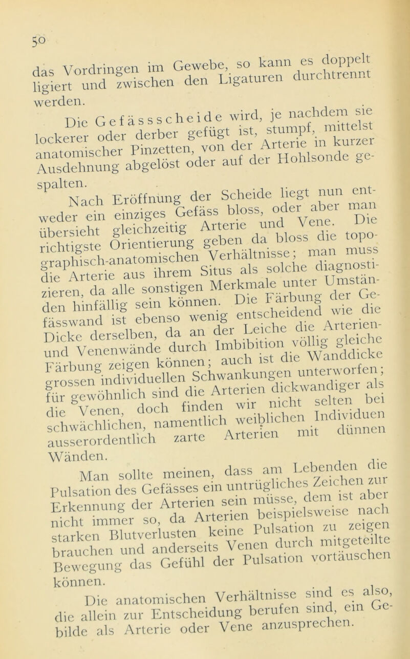 E»l o das Vordringen im Gewebe^j *°turen”durcMrennt ligiert und zwischen den Ligatuien werden. t-x • r pf o csscheide wird, je nachdem sie Ausdehnung abgelost oder auf dei Hohlsonde ge ' Narh Eroffnung der Scheide liegt nun ent -Z1ges Gefass bloss oder aber ,uan ubersieht gleichzeitig Artene un • sejm f r ,£« ,e;,r Srsis* s ausserordentlich zarte Wanden. Man sollte meinen, dass am Ixbenc en ie Pulsation des Gefasses e.n untrugliches Zeichen Erkennung der Arterren sem mussg Mch nicht raimer so, da AUeuen cx i i zu zeisen konnen. Die anatomischen Verhaltnisse smd es also, die allein zur Entscheidung berufen sind, ein G bilde als Arterie oder Vene anzusprechen.