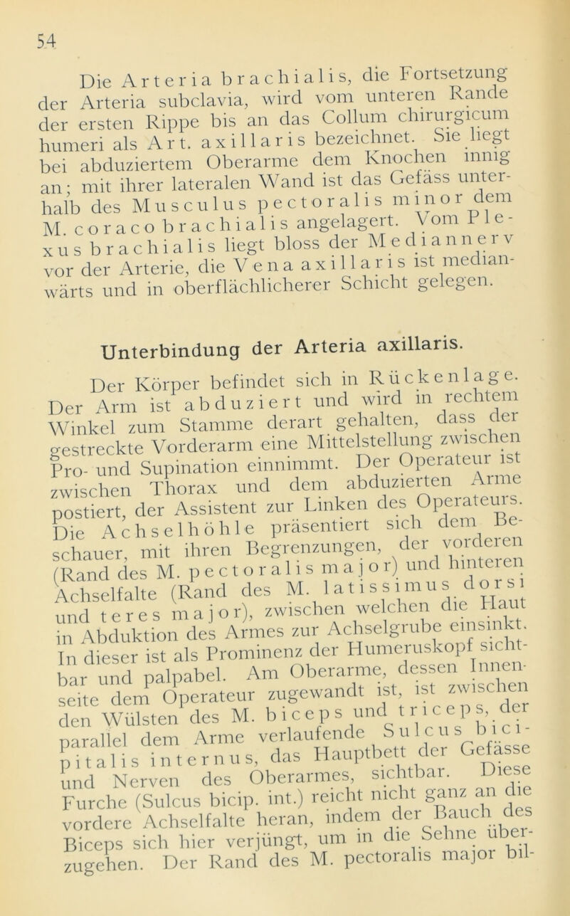 Die A r t e r i a b r a c h i a 1 i s, die F ortsetzung der Arteria subclavia, wird vom unteren Rande der ersten Rippe bis an das Collum chirurgicum humeri als Art. axillaris bezeichnet. ie leg bei abduziertem Oberarme dem Knochen mmg an; mit ihrer lateralen Wand ist das Gefass unter- halb des Musculus p e c t o r a 11 s m in o i clem M coraco brachialis angelagert. V om rie- xus brachialis liegt bloss der Me d i a n ner v vor der Arterie, die Vena axillaris ist mec lan warts und in oberflachlicherer Schicht gelegen. Unterbindung der Arteria axillaris. Der Korper befindet sich in R ii c k e n 1 a g e. Der Arm ist abduziert und wird in rechtem Winkel zum Stamme derart gehalten, class cler eestreckte Vorderarm eine Mittelstellung zwischen Pro und Supination einnimmt. Der Operateur ist zwischen Thorax und dem abduzierten Aime postiert, der Assistent zur Linken des Die Achselhohle prasentiert sich dem Pe- schauer mit ihren Begrenzungen, der vorderen (Rand des M. p e c t o r a 1 i s m a j o r) und Unteren Achselfalte (Rand des M. lat issimus dor und teres major), zwischen welchen die Plant in Abduktion des Armes zur Achselgrube einsmkt. In dieser ist als Prominenz der Humeruskopf sicht- bar und palpabel. Am Oberarme, dessen Inne.v seite dem Operateur zugewandt ^t, ist zwischen den Wulsten des M. b ice p s und t rice p sd parallel dem Arme verlaufende S u 1 c u s b pitalis internus, das Hauptbett der Gefasse und Nerven des Oberarmes, sichtbar. Die Furche (Sulcus bicip. int.) reicht mcht ganz an die vordere Achselfalte heran, indem der Bauch des Biceps sich hier verjiingt, urn in die Sehne uber- zugehen. Der Rand des M. pectoralis major bil-