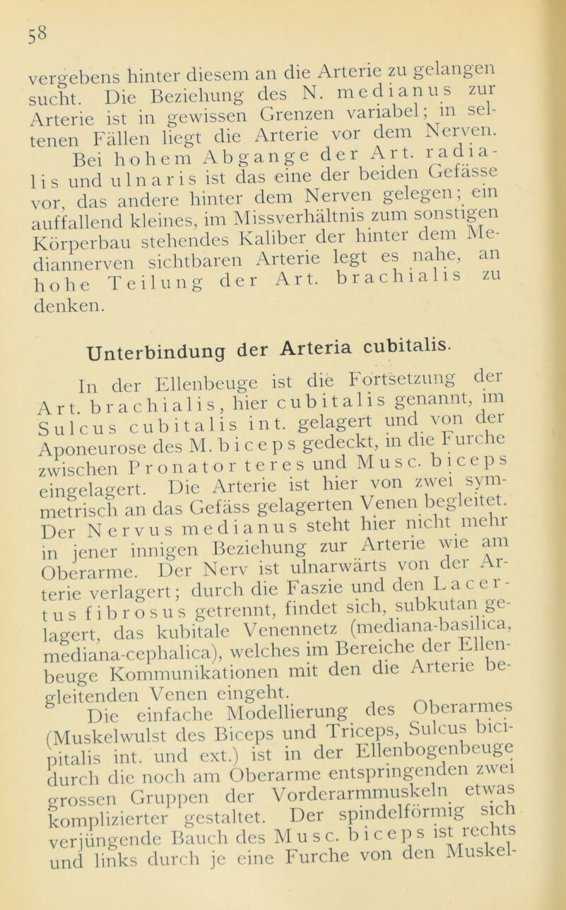 vergebens hinter diesem an die Arterie zu gelangen sucht. Die Beziehung des N. me di anus zur Arterie ist in gewissen Grenzen variabel; m sel- tenen Fallen liegt die Arterie vor dem NGiven. Bei hohem Abgange der Art. radia- 1 i s und ulnaris ist das eine der beiden Gefasse vor, das andere hinter dem Nerven gelegen, em auffallend kleines, im Missverhaltnis zum sonstigen Korperbau stehendes Kaliber der hinter dem Me- diannerven sichtbaren Arterie legt es nahe, an ho he Teilung der Art. brachial is zu denken. Unterbindung der Arteria cubitalis. In der Ellenbeuge ist die Fo'rtsetzung der Art. brachialis, hier cubitalis genannt, im Sulcus cubitalis int. gelagert und von dei Aponeurose des M. biceps gedeckt, in die F urche zwischen Pronator teres und Muse, biceps eingelagert. Die Arterie ist bier von zwei sym- metrisch an das Gefass gelagerten Venen begleitet. Der Nervus medianus steht hier nicht melir in iener innigen Beziehung zur Arterie wie am Oberarme. Der Nerv ist ulnarwarts von der Ar- terie verlagert; durch die Faszie und den Lace 1- tus fibrosus getrennt, findet sich, subkutan.ge- lagert, das kubitale Venennetz (mediana-basilica, mediana-cephalica), welches im Bereiche der Ellen- beuge Kommunikationen mit den die Arterie be- gleitenden Venen eingeht. Die einfache Modellierung des Oberarmes (Muskelwulst des Biceps und Triceps, Sulcus bici- nitalis int. und ext.) ist in der Ellenbogenbeuge durch die noch am Oberarme entspringenden zwei grossen Gruppen der Vorderarmmuskeln etwas komplizierter gestaltet. Der spindelformig sic veriilngcnde Bauch des Muse, biceps ist rechts und links durch je cine Furche von den Muskel-