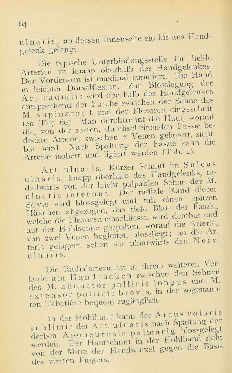 ulnar is, an dessen Innenseite sie bis ans Hand- gelenk gelangt. Die tvpische Unterbindungsstelle fur beide Arterien i* knapp oberhalb des Handgelenk^ Der Vorderarm ist maximal supmiert. Die Dan in leichter Dorsalflexion. Zur Blosslegung der \ r t r a d i a 1 i s wird oberhalb des Handgelenkc entsprechend der Furche zwischen der Sehne des M s u p i n a t o r 1. und der Flexoren eingeschmt- ten (Fitv 6o). Man durchtrennt die Haul, worauf die von der zarten, durchscheinenden kasziebe- decktc Arterie, zwischen 2 Venen gelagert, sicht- bar wird. Nach Spaltung der Faszie kann die Arterie isoliert und ligiert werden (Tab. 2). u 1 n arVs 'knapp oberiXde^’Cdgeknkll ra- Von Sehne' wird'blossgelcgt und ^ #£ auf der Hohlsonde gespalten, worauf die Artene, von zwei Venen begleitet, blosshegt; an che A - terie gelagert, sehen wir ulnarwarts den .nci ulnar is. ten Tabatiere bequem zuganglicli. In der Hohlhand kann der Arcus vojaris s ub 1, m i s der A r t. u 1 n a r i s nach Sprung der derben Aponeurosis paimarig 1 -= werden. Der Hautschmtt in der Hohlhand zie von der Mitte der Handwurzel gegen ci des vierten Fingers.