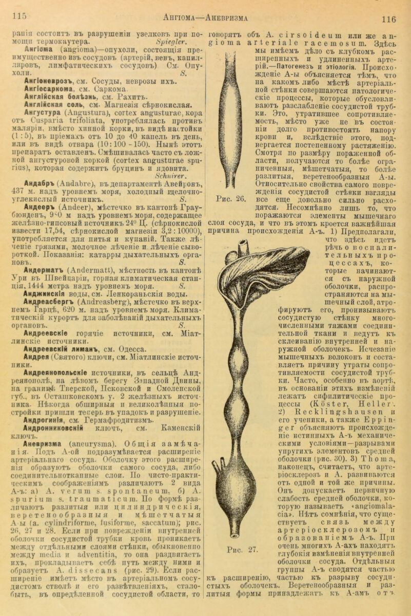 116 paiiin COCTOHT1) bi> paapyineHin yaejiKOR'B npu no- MOimi TepMOKuyxepa. SpiegUr. AHrioma (angioma)—onyxojin, cocTOJiuj,ia npe- nMymecTBeHHO H3'b cocyflOBi. (apxepifi, BeHx>, Kaniui- .uipoBB, jiiiM(t)axiiqecKuxx> cocyAOBB) Cm. üny- xo.xii. S. AHrioHesposi», cm. CocyAU, HCBposLi nxx>. AHrioGapKoma, cm. OapKOMa. AHraiHCKaa öoatsHb, cm. PaxnxB. AHraiiicKafl cojib, cm. MarHcaia cipnoKHCJiaa. AHrycTypa (Angusturaj, cortex angusturae, Kopa oxx. Cusparia trifoliata, ynoxpeßjiajiacb npoxiiBx. MOJIBpill, BM’tcXO XIlHHOft KOpKH, Bl> BHA-fe Ha( XOÖKH (1 :5), B'b iipieMaxx. ox'b 10 ao 40 KanejiB bb Aent.,' HJiH Bx> BHAt oxBapa (10:100 -150). Hunli 3xoxx> iipenapaxB ocxaBJieHX>. CMiinnBajiRCL Macxo cx> Jioac- HOi1 aurycxypoBofi KopKoß (cortex angusturae spu- rius), Koxopaa coAepaciixx. 6pyii,iiHx> ii BAOBiixa. Schuir er, AHAa6pi (Audabre), bx> AenapxaMeiixl; ABefipoHx>, 437 M. HaAx> ypoBHeMB Mopa, xomoauhö iu,ejiouHo- yrjieKiicjiuli iicxoqHnKX.. S. ÄHAeepi (Andeer), MicxeuKo bx. Kanxoni Tpay- GiOHAeux., 9'0 m HaAx> ypoBneMX Mopa, coAepHcaiu.ee Hce.xi.xHo-rnncoBLifi ncxouHHKx> 24° (cbpHOicncHofl HSBecxn 17,54, ct.pHOKHCJiofi Maruesiu 3,2 :10000), ynoxpeß.xaexca ahh mixLa ii KyiiaHifi. TaKHce Jit-1 ueuie rpasaMu, Mo.xouHoe HiueHie n uiueHie clibo- poxKOÄ. UoKaBaHia: Kaxappu AMxaxeHbHbixx> opra-1 HOß'b. S. j AHAepMaTb (Andermatt), m^cxhoctl bb KaHxouij I ypn Bx> UJBeäuapiu, ropuaa icjinMaxnuecKaa cxan- uia, 1414 Mexpa uaAX> ypoBeeMx, Mopa. S. AHAWNHCKifl BOAH, CM. JleUKOpaUBCKia BOAM. AHApeac6epri> (Aiidreasberg), M'fccxeuKo bx> Bepx- j ueM'b I’apn'fe, 620 m. hhax. ypoBueMX. Mopa. K.xuMa-' xiiaecKifi Kypopxx> a-iu aaöoH'bßauifi AwxaxejiLnBixx. opraHOBx.. S. ÄHApeeacKie ropaxie ncxoaunicu, cm. Miax- JIHHCKie nCXÜXHHKH. AHApeeacKlN jiHMaHb, cm. ÖAecca. AHApen (Cßaxoro) kjiioxh, cm. MiaxjinHcicie iicxox- IIHKH. AHApeHHonoiibCKie hcxoxhukh, bx. cejiLii,^ Aua- peaHoiioji’fe, ua JiiBOMX. öepery 3;iuaAnoö JZ^buhli, iia rpauHH,4; Tßepcicof), IIckobckoö n CMOJiencKofi ryö., BX. OcxaiiiKOßCKOMx. y. 2 HceJiisHLix'B ncxox- UHKa. HiiKorAa oßmupiiBia ii BejinKoatnuBia no- cxpoÖKu npHiujiii xer:epB bx. ynaAOicB ii paapyiireuie. ÄHAporMHlfl, CM. repMa(|)poAUxii3Mi.. AHApOHHKKOBCKiH KJIIOXX., CM. KaMeUCIcifi KJIIOXX.. AueBpHSMa (aneurysma). Oöuuh saMixa- H i a. IToa'b A-oft noApasyMtßaexca pacmiipeirie apxepiajiBuaro cocyAa. Oöo.xoxKy 9xoro pacmnpe- [ uia oöpaayioxx. obojioxicii caMoro cocyAa, Jinöo, coeAUHiixe.xBnoxKanHBie cjion. IIo xncxo-npaKxn-1 xecKiiM'B cooßpaaceuiaMX. paajinxaioxx. 2 miAa A-^: a) A. verum s. s p o n t a n e u m, 6) A. spurium s. t r a u m a t i c u m. IIo (|)opM'Ii pas- jiiixarox'B pas.xiixBia iijiii a ii .x ii h a P n x c c k i a, ]{ e p e X e H 0 0 6 p a 3 n BI a n m li m c x x a x bi a A BI (a. cylindriforme, lusiforme, saccatum); piic. 26, 27 II 28. EcjIh iipii iiOBpeHCAenia BiiyipeuHCH oöojXoxkii cocyAHCXoft xpybKii upoBB iipOHHKaexB MCHCAy OXAtjIBHBIMH CJIOaMH CXiUKII, Oßl.IKUOBeilllO MCJKAy media ii adventitia, xo ona pasABiiraexx. lixx., iipoKJiaABiBaexx. ceöli iiyxB mchcav iiHMn a obpasyexx. A. dissecans (pac. 29). Ecjiii pac- uiupenie nM'bexx. M'fecxo bx. apxepiajii.noM'B cocy- Ahcxom'b cxbojiIj n ero pasBixBJieniaxB, cxa.xo-' bi.ixB, B'B onpeA'bJieHHOÖ cocyAucxofi oÖJiacxH, xo ‘ rOBopa'rx. o6x. A. c i r s o i d e u m u.xh Hce a n- g i 0 111 a a r t e r i a 1 e r a c e m o s u m. SA'bcB . , MBi iiM'bCMx. A'fe.ao cx. KJiyÖKOMx. pac- iiiiipenuBixx. n yAHHueunBixx. apxe- pia.—naToreHesB n ationorin. Ilponcxo- acAeuie A-ia o6x.acaaexca 'riMx., xxo na KaicoMx. jih6o Micxi apxepiajiB- nofi c'riHKH coBepuiaioxca naxojiomxe- CKie iipogeccBi, KoxopBie oöycjiOBHii- BaioTx. paacjiaÖJieHie cocyAncxoft xpy6- KH. 9x0, yxpaxHBmee conpoxnßjiae- MocxB, M'bcxo yjKe ue b’b cocxoh- uiu AOJiro iipoxuBocxofl'rB uanopy KpoBu n, BCJi^ACXBie o'roro, uoa- ßepraexca nocxeiieuHOMy pacxaaceuiio. ÜMOxpa no pasMipy uopaHceHHOü o6- jiacxn, iiojiyxaioTca xo ßoji'be orpa- HHxcHUBiH, MimexxaxBiH, xo öoji'be pa3JiiixBiH, Bepexenoo6pa3HBiH A-bi. OxHocnxejiBHO cBoficxsa caMoro iiospe- HCAenia cocyAucxoö cxiiHKn BsrjiHABi Piic. 26. Bce eiu,e aobojibho chjibho pacxo- AHXca. HecoMH'feuHo JinmB xo, xxo uopaHcaioxcfl ajiCMeuxBi MBimexuaro cjiOH cocyAa, ii x'ro bx. bxomx. Kpoexca BajKH'biimaa npuxnna nponcxoiKAeHia A-x.. 1) IIpeAnojiarajiu, XTO SA'bCB IIACXX. P'bxB 0 Bociiajin- X e Ji BH BI X X. iipo- u; e c c a X X., ko- xopue iiaxiinaiox- cfl cx. uapyiKiioö oöojioxKu, paciipo- cxpauflioxcfl Ha mbi- ineuHBiö cHofi, axpo- (|)iipyioxx. ero, npoHii3BiBaiox'b cocyAucxyio cxiiHKy mhoto- XHCJieHHBIMII XilHCaMH COeAHBU- xejiBnofi xicaHu ii neAyxx. kx. CKJieHBaniio imyxpeneeii ii iia- pyacHofi oßoaoxeKx.. Hcxeaanio MLimexHHxx. BoaoKonx. ii cocxa- Baaexx. npuxuHy y'rpaxBi conpo- XHBaaeMocxn cocyAncxoö xpyG- Kii. ^lacxo, ocoöeiiHO bx. aoprli, BX. ocHOßanin bxiix'b naMineiiiu •xeaca'rx. ciuiiiianxnxccKie iipo- n,eccBi (Köster, Heller. 2) R e c k 1 i n g s li a. u s e n ii ero yxennicii, a xaiuKe E p p i n- g e r oö'Bacaaioxx. nponcxoacac- nie iicxniiHBix'B A-x. MexaHiixe- cKiiMH ycaoBiaMu—paapBiBaMii ynpyraxx. aaeMeuxoBX. cpcAueil oöoaoxKn (pnc. 30). 3) T h o m a, naKoiieu,x., cxaxaexx., xxo apre- piocKJiepo3X. n A. pasBUBaioxca oxx. oAuofi H xofi ace npnxiinBi. Ou'B Aoiiycicaexx. iiepiuixiiyio caaÖoc'n. cpeAiicii oÖoaoxitii, ko- xopyio nasHBaexx. «angiomala- cia». Hkxx. coMEkiiia, xxo cyui,e- cxByexx. cbhsb MeacAy a p X e p i 0 c K a e p 0 3 0 M X. ii oöpasoBanicMx. A-'b. Hpii oxeiiB MUorHxx. A-axx. naxoAuxi. rayßoicia n3MkiieHia BiiyxpeiiHen oöoaouKii cocyAa. OxA'bar.uBia rpyiiuu A-x. CBOAflxca xacxi.io xacxBH) KX> paapBiBy cocyAu- cxBixx. oGoaoxeKX.. HepexeiiooßpaBnBia u pa3- anxBia ({lopMU npiinaAueacaxi. k'b A-axx. o x 'i- Pnc. 27. KX. pacmnpeHiio,