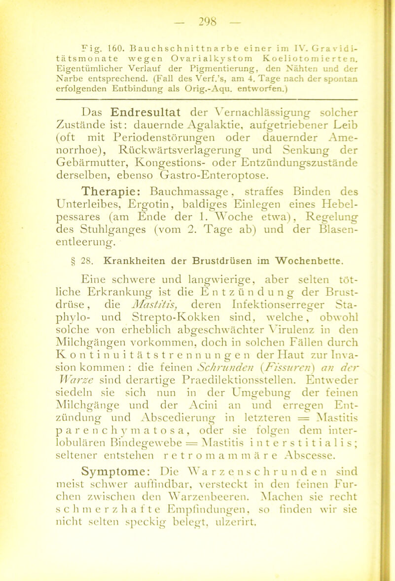 Fig. 160. B au ch sc h ni 11 n a r b e einer im IV. Gravidi- tätsmonate wegen Ovarialkystom Koeliotomierten. Eigentümlicher Verlauf der Pigmentierung, den Nähten und der Narbe entsprechend. (Fall des Verf.’s, am 4. Tage nach der spontan erfolgenden Entbindung als Orig.-Aqu. entworfen.) Das Endresultat der Vernachlässigung solcher Zustände ist: dauernde Agalaktie, aufgetriebener Leib (oft mit Periodenstörungen oder dauernder Ame- norrhoe), Rückwärtsverlagerung und Senkung der Gebärmutter, Kongestions- oder Entzündungszustände derselben, ebenso Gastro-Enteroptose. Therapie: Bauchmassage, straffes Binden des Unterleibes, Ergotin, baldiges Einlegen eines Hebel- pessares (am Ende der 1. Woche etwa), Regelung des Stuhlganges (vom 2. Tage ab) und der Blasen- entleerung. § 28. Krankheiten der Brustdrüsen im Wochenbette. Eine schwere und langwierige, aber selten töt- liche Erkrankung ist die Entzündung der Brust- drüse , die Mastitis, deren Infektionserreger Sta- phylo- und Strepto-Kokken sind, welche, obwohl solche von erheblich abgeschwächter Virulenz in den Milchgängen Vorkommen, doch in solchen Fällen durch Kontinuitätstrennungen der Haut zur Inva- sion kommen : die feinen Sehnenden (Fissuren) an der Warze sind derartige Praedilektionsstellen. Entweder siedeln sie sich nun in der Umgebung der feinen Milchgänge und der Acini an und erregen Ent- zündung und Abscedierung in letzteren = Mastitis parenchym atosa, oder sie folgen dem inter- lobulären Bindegewebe = Mastitis interstitialis; seltener entstehen r e t r o m a m märe Abscesse. Symptome: Die Warzenschrunden sind meist schwer auffindbar, versteckt in den feinen Fur- chen zwischen den Warzenbeeren. Machen sie recht schmerzhafte Empfindungen, so finden wir sie nicht selten speckig belegt, ulzerirt.