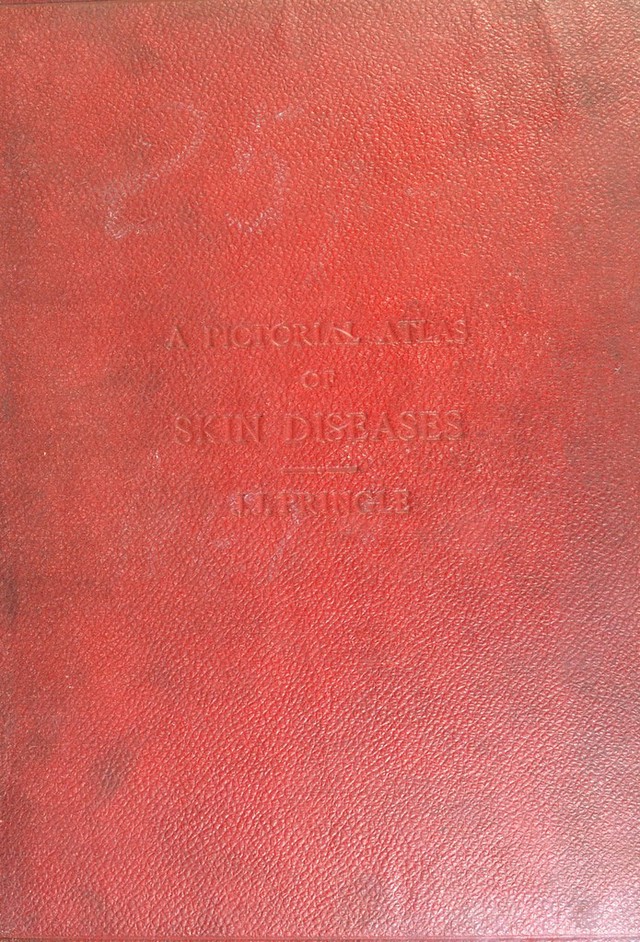 No text description is available for this image