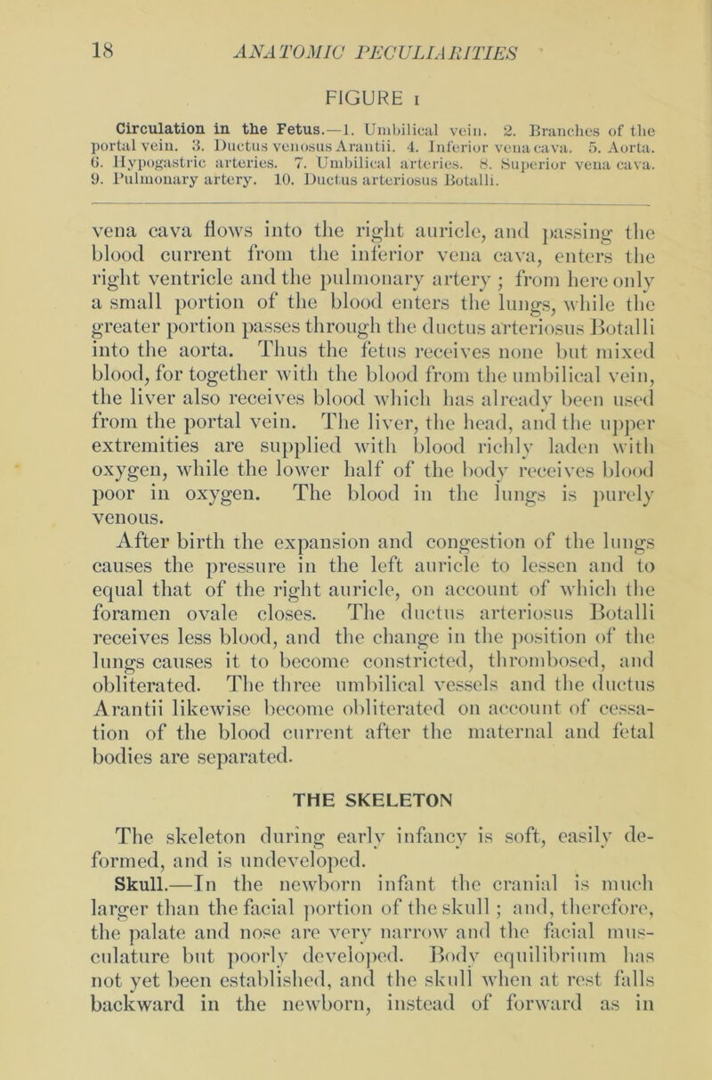 FIGURE i Circulation in tlie Fetus.—1. ümbilical vein. 2. Branches of tlie portal vein. 3. Ductus venosus Arantii. 4. Inferior vena cava. 5. Aorta. 6. Ilypogastric arterles. 7. Ümbilical arteries. 8. Superior vena cava. 9. Pulmonary artery. 10. Ductus arteriosus Botalli. vena cava fiows into tlie right auricle, and passing tlie blood current from tlie inferior vena cava, enters tlie right ventricle and tlie pulmonary artery ; from hereonly a small portion of tlie blood enters the lungs, wliile tlie greater portion passes through the ductus arteriosus Botalli into the aorta. Thus the fetus receives none but mixed blood, for together witli the blood from the ümbilical vein, the liver also receives blood whicli has already beeil used from the portal vein. The liver, the head, and the upper extremities are supplied witli blood richly laden witli oxygen, wliile the lower half of the body receives blood poor in oxygen. The blood in the lungs is purely venous. After birth the expansion and congestion of the lungs causes the pressure in the left auricle to lessen and to equal that of the right auricle, on account of whicli the foramen ovale closes. The ductus arteriosus Botalli receives less blood, and the change in the position of the lungs causes it to become constricted, thrombosed, and obliterated. The thrce ümbilical vessels and the ductus Arantii likewise become obliterated on account of cessa- tion of tlie blood current after the maternal and fetal bodies are separated. THE SKELETON The skeleton during early infancv is soft, easily de- formed, and is undeveloped. Skull.—In the newborn infant the cranial is much larger tlian the facial portion of the skull ; and, therefore, the palate and nose are verv narrow and the facial mus- culature but poorly developed. Bodv equilibrium has not yet lieen established, and tlie skull wlien at rest falls backward in the newborn, instead of forward as in