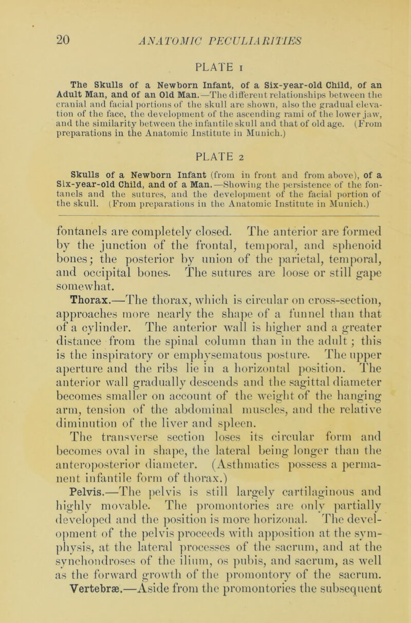 PLATE i The Skulls of a Newborn Infant, of a Six-year-old Child, of an Adult Man, and of an Old Man.—The different relationships between the cranial and facial portions of the skull are shovvn, also the gradual eleva- tion of the face, the development of the ascending rarni of the lower jaw, and the similarity between the infantile skull and that of old age. (Frorn preparations in the Anatomie Institute in Munich.) PLATE 2 Skulls of a Newborn Infant (from in front and from above), of a Six-year-old Child, and of a Man.—Showing the persistence of the fon- tanels and the sutures, and the development of the facial portion of the skull. (From preparations in the Anatomie Institute in Munich.) fontanels are completely closed. The anterior are formed by the junction of the frontal, temporal, and sphenoid bones; the posterior by Union of the parietal, temporal, and occipital bones. The sutures are loose or still gape somewhat. Thorax.—The thorax, which is circular on cross-section, approaches more nearly the shape of a funnel than that of a cylinder. The anterior wall is higher and a greater distance from the spinal column than in the adult; tliis is the inspiratory or emphysematous posture. The upper aperture and the ribs lie in a horizontal position. The anterior wall gradually descends and the sagittal diameter becomes smaller on account of the weight of the hanging arm, tension of the abdominal museles, and the relative diminution of the liver and spieen. The transverse section loses its circular form and becomes oval in shape, the lateral being longer than the anteroposterior diameter. (Asthmatics possess a perma- nent infantile form of thorax.) Pelvis.—The pelvis is still largely cartilaginous and highly movable. The promontories are only partially developed and the position is more horizonal. The devel- opment of the pelvis proceeds with apposition at the sym- physis, at the lateral processes of the sacrum, and at the synchondroses of the ilium, os pubis, and sacrum, as well as the forward growtli of the promontory of the sacrum. Vertebrae.—Aside from the promontories the subsequent