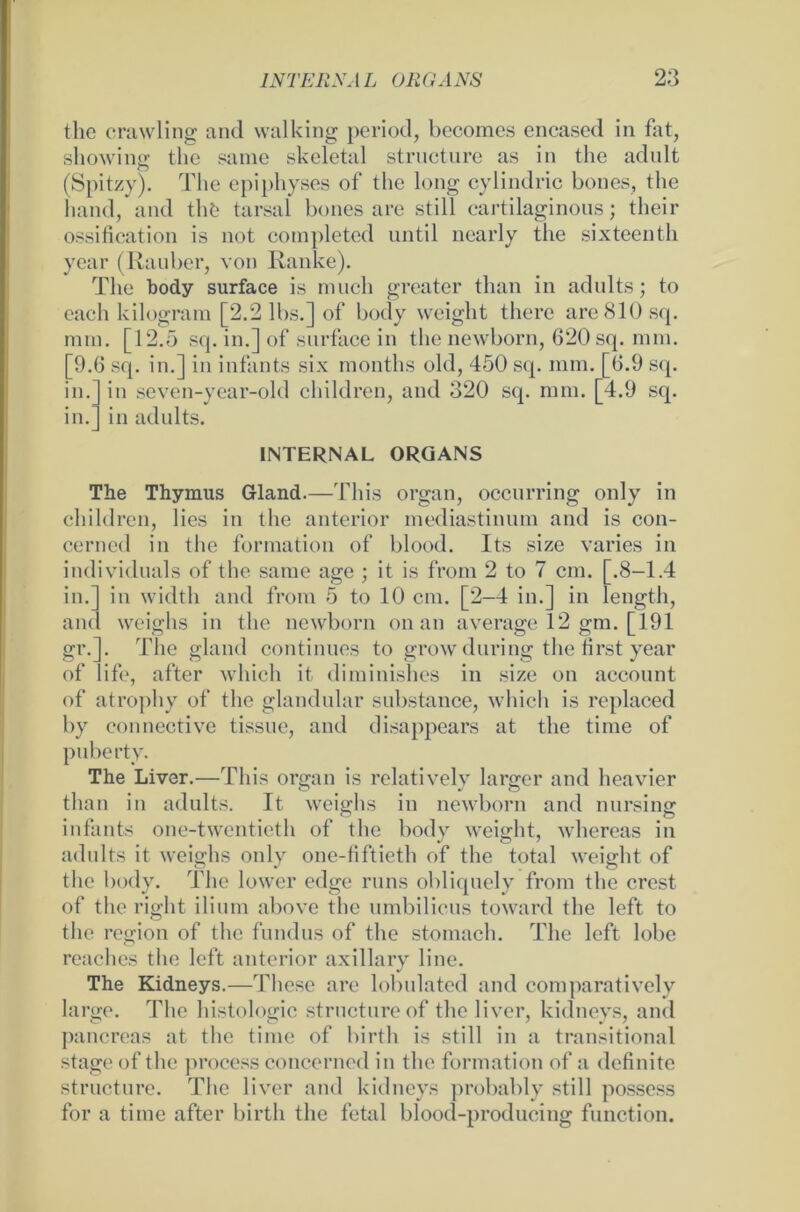 thc crawling and walking period, becomcs encased in fat, showing thc sarae skeletal structure as in the adult (Spitzy). The epiphyses of the long cylindric bones, the hand, and thfe tarsal bones are still cartilaginous; their ossification is not coinpleted until nearly the sixteenth year (Räuber, von Ranke). The body surface is much greater than in adults; to eacli kilogram [2.2 lbs.] of body weight there are 810 sq. min. [12.5 sq. in.] of surface in the newborn, 620 sq. mm. [9.6 sq. in.] in infants six months old, 450 sq. mm. [6.9 sq. in seven-year-old children, and 320 sq. mm. [4.9 sq. in adults. m. in. INTERNAL ORGANS The Thymus Gland.—This organ, occurring only in children, lies in the anterior mediastinum and is con- cerned in the formation of blood. Its size varies in individuals of the same age ; it is from 2 to 7 cm. [.8-1.4 in.] in width and from 5 to 10 cm. [2-4 in.] in length, aii( weighs in the newborn on an average 12 gm. [191 gr.]. The gland continues to grow during the first year of life, after which it diminishes in size on account of atrophy of thc glandular substance, which is replaced by connective tissue, and disappears at the time of puberty. The Liver.—This organ is relatively largcr and heavier than in adults. It weighs in newborn and nursing infants one-twentieth of the body weight, whereas in adults it weighs only one-fiftieth of the total weight of the body. The lower edge runs obliquely from the crest of the right ilium above the umbilicus toward the left to the region of the fundus of the stomach. The left lobe reaches the left anterior axillary line. The Kidneys.—These are lobulated and comparatively large. The histologic structure of the liver, kidneys, and pancreas at the time of hirth is still in a transitional stage of the process concerned in the formation of a definite structure. The liver and kidneys probably still possess for a time after birth the fetal blood-producing function.