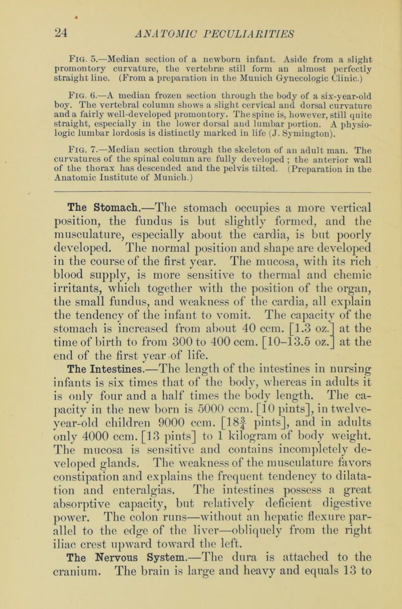 Fig. 5.—Median section of a newborn infant. Aside from a slight promontory curvature, the vertebne still form an almost perfectly straigbt line. (From a preparation in the Munich Gynecologic Clinic.) Fig. 6.—A median frozen section through the body of a six-year-old boy. The vertebral column shows a slight cervical and dorsal curvature and a fairly well-developed promontory. The spine is, liowever, still quite straight, especially in the lower dorsal and 1 umbar portion. A Physio- logie lumbar lordosis is distinctly rnarked in life (J. Symington). Fig. 7.—Median section through the skeleton of an adult man. The curvatures of the spinal column are fully developed ; the anterior wall of the tkorax has descended and the pelvis tilted. (Preparation in the Anatomie Institute of Munich.) The Stomach.—The stomacli occupies a more vertical position, the fundus is but slightly formed, and the musculature, especially about the cardia, is but poorly developed. The normal position and shape are developed in the courseof the first year. The mucosa, with its rieh blood supply, is more sensitive to thermal and chemic irritants, which together with the position of the organ, the small fundus, and weakness of the cardia, all explain the tendency of the infant to vomit. The capacity of the stomach is increased from about 40 ccm. [1.3 oz.l at the time of birth to from 300 to 400 ccm. [10-13.5 oz. at the end of the first year of life. The Intestines.—The length of the intestines in nursing infants is six times that of the body, whereas in adults it is only four and a half times the body length. The ca- pacity in the new born is 5000 ccm. [10 pints], in twelve- vear-old children 9000 ccm. [18f pints], and in adults only 4000 ccm. [13 pints] to 1 kilogram of body weight. The mucosa is sensitive and contains incompletely de- veloped glands. The weakness of the musculature favors constipation and explains the frequent tendency to dilata- tion and enteralgias. The intestines possess a great absorptive capacity, but relatively deficient digestive power. The colon runs—without an hepatic flexure par- allel to tlie edge of the liver—obliquely from the right iliac crest upward toward the left. The Nervous System.—The dura is attached to the cranium. The brain is large and heavy and equals 13 to