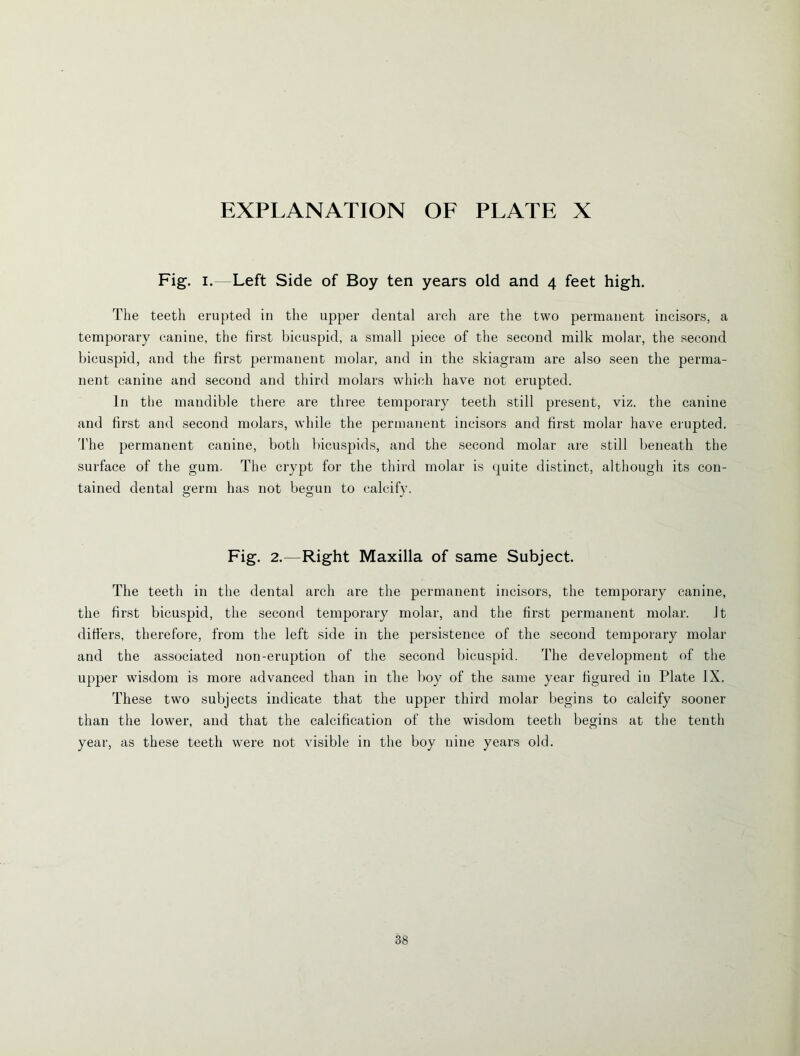 Fig. i. Left Side of Boy ten years old and 4 feet high. The teeth erupted in the upper dental arch are the two permanent incisors, a temporary canine, the first bicuspid, a small piece of the second milk molar, the second bicuspid, and the first permanent molar, and in the skiagram are also seen the perma- nent canine and second and third molars which have not erupted. In the mandible there are three temporary teeth still present, viz. the canine and first and second molars, while the permanent incisors and first molar have erupted. The permanent canine, both bicuspids, and the second molar are still beneath the surface of the gum. The crypt for the third molar is quite distinct, although its con- tained dental germ has not begun to calcify. Fig. 2.—Right Maxilla of same Subject. The teeth in the dental arch are the permanent incisors, the temporary canine, the first bicuspid, the second temporary molar, and the first permanent molar. It ditfers, therefore, from the left side in the persistence of the second temporary molar and the associated non-eruption of the second bicuspid. The development of the upper wisdom is more advanced than in the boy of the same year figured in Plate IX. These two subjects indicate that the upper third molar begins to calcify sooner than the lower, and that the calcification of the wisdom teeth begins at the tenth year, as these teeth were not visible in the boy nine years old.