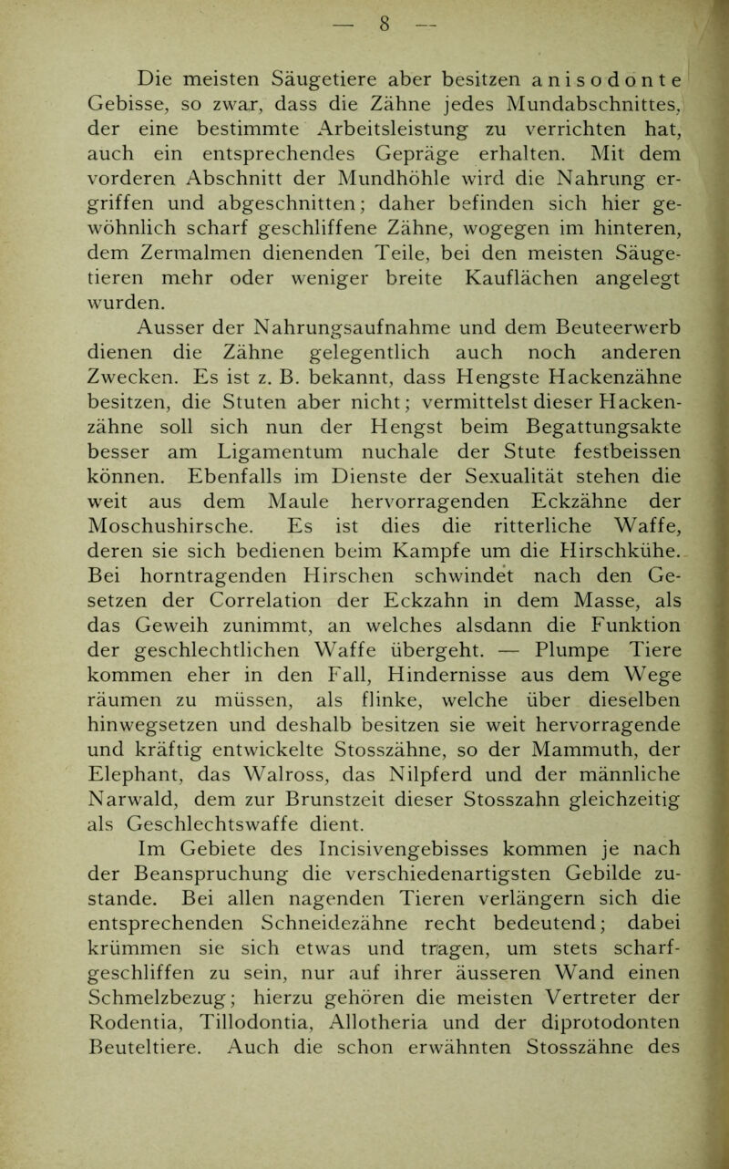 Die meisten Säugetiere aber besitzen anisodonte Gebisse, so zwar, dass die Zähne jedes Mundabschnittes, der eine bestimmte Arbeitsleistung zu verrichten hat, auch ein entsprechendes Gepräge erhalten. Mit dem vorderen Abschnitt der Mundhöhle wird die Nahrung er- griffen und abgeschnitten; daher befinden sich hier ge- wöhnlich scharf geschliffene Zähne, wogegen im hinteren, dem Zermalmen dienenden Teile, bei den meisten Säuge- tieren mehr oder weniger breite Kauflächen angelegt wurden. Ausser der Nahrungsaufnahme und dem Beuteerwerb dienen die Zähne gelegentlich auch noch anderen Zwecken. Es ist z. B. bekannt, dass Hengste Hackenzähne besitzen, die Stuten aber nicht; vermittelst dieser Hacken- zähne soll sich nun der Hengst beim Begattungsakte besser am Ligamentum nuchale der Stute festbeissen können. Ebenfalls im Dienste der Sexualität stehen die weit aus dem Maule hervorragenden Eckzähne der Moschushirsche. Es ist dies die ritterliche Waffe, deren sie sich bedienen beim Kampfe um die Hirschkühe. Bei horntragenden Hirschen schwindet nach den Ge- setzen der Correlation der Eckzahn in dem Masse, als das Geweih zunimmt, an welches alsdann die Funktion der geschlechtlichen Waffe übergeht. — Plumpe Tiere kommen eher in den Fall, Hindernisse aus dem Wege räumen zu müssen, als flinke, welche über dieselben hinwegsetzen und deshalb besitzen sie weit hervorragende und kräftig entwickelte Stosszähne, so der Mammuth, der Elephant, das Walross, das Nilpferd und der männliche Narwald, dem zur Brunstzeit dieser Stosszahn gleichzeitig als Geschlechtswaffe dient. Im Gebiete des Incisivengebisses kommen je nach der Beanspruchung die verschiedenartigsten Gebilde zu- stande. Bei allen nagenden Tieren verlängern sich die entsprechenden Schneidezähne recht bedeutend; dabei krümmen sie sich etwas und tragen, um stets scharf- geschliffen zu sein, nur auf ihrer äusseren Wand einen Schmelzbezug; hierzu gehören die meisten Vertreter der Rodentia, Tillodontia, Allotheria und der diprotodonten Beuteltiere. Auch die schon erwähnten Stosszähne des