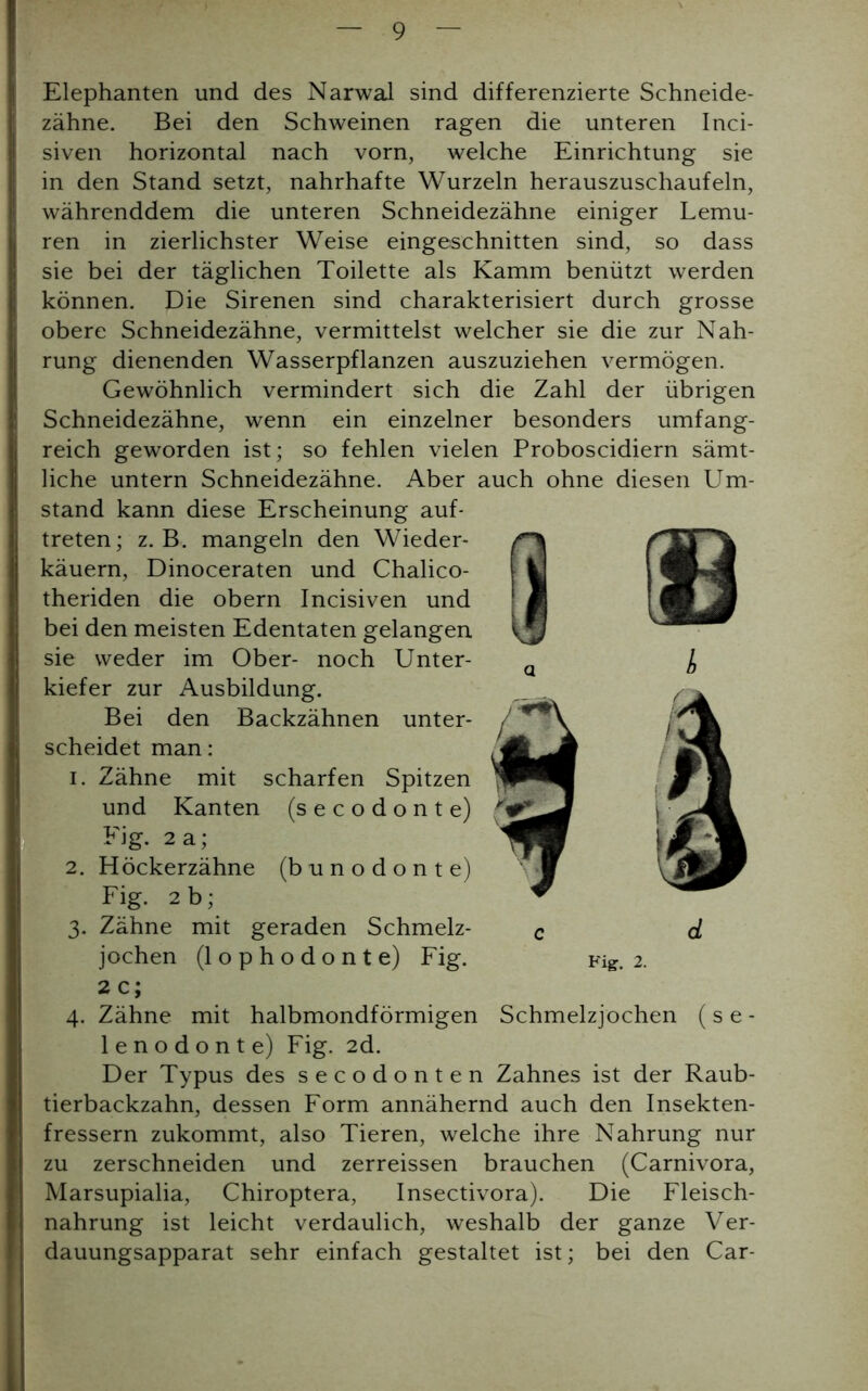 Elephanten und des Narwal sind differenzierte Schneide- zähne. Bei den Schweinen ragen die unteren Inci- siven horizontal nach vorn, welche Einrichtung sie in den Stand setzt, nahrhafte Wurzeln herauszuschaufeln, währenddem die unteren Schneidezähne einiger Lemu- ren in zierlichster Weise eingeschnitten sind, so dass sie bei der täglichen Toilette als Kamm benützt werden können. Die Sirenen sind charakterisiert durch grosse obere Schneidezähne, vermittelst welcher sie die zur Nah- rung dienenden Wasserpflanzen auszuziehen vermögen. Gewöhnlich vermindert sich die Zahl der übrigen Schneidezähne, wenn ein einzelner besonders umfang- reich geworden ist; so fehlen vielen Proboscidiern sämt- liche untern Schneidezähne. Aber auch ohne diesen Um- stand kann diese Erscheinung auf- treten; z. B. mangeln den Wieder- käuern, Dinoceraten und Chalico- theriden die obern Incisiven und bei den meisten Edentaten gelangen sie weder im Ober- noch Unter- kiefer zur Ausbildung. Bei den Backzähnen unter- scheidet man: 1. Zähne mit scharfen Spitzen und Kanten (secodonte) Fig. 2 a; 2. Höckerzähne (bunodonte) Fig. 2b; 3. Zähne mit geraden Schmelz- jochen (lophodonte) Fig. 2 c; 4. Zähne mit halbmondförmigen Schmelzjochen (s e - lenodonte) Fig. 2d. Der Typus des secodonten Zahnes ist der Raub- tierbackzahn, dessen Form annähernd auch den Insekten- fressern zukommt, also Tieren, welche ihre Nahrung nur zu zerschneiden und zerreissen brauchen (Carnivora, Marsupialia, Chiroptera, Insectivora). Die Fleisch- nahrung ist leicht verdaulich, weshalb der ganze Ver- dauungsapparat sehr einfach gestaltet ist; bei den Car- d Fig. 2.